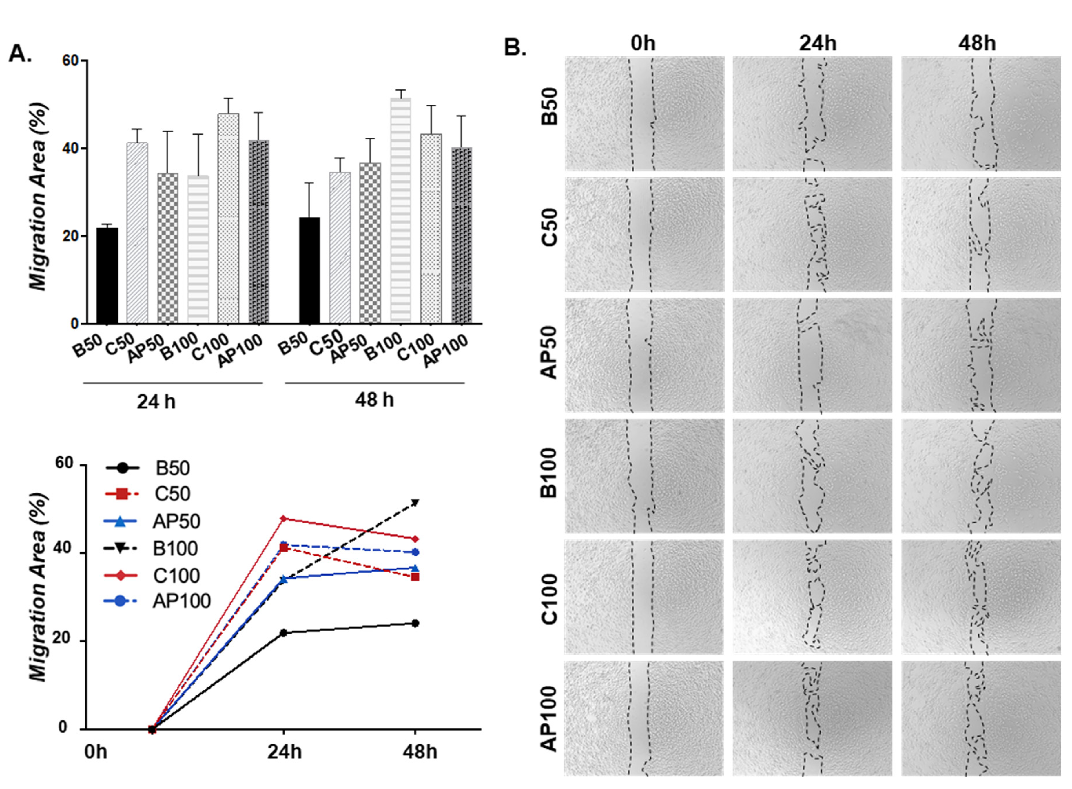 Ijms 21 05256 g004 Ijms 21 05256 g004