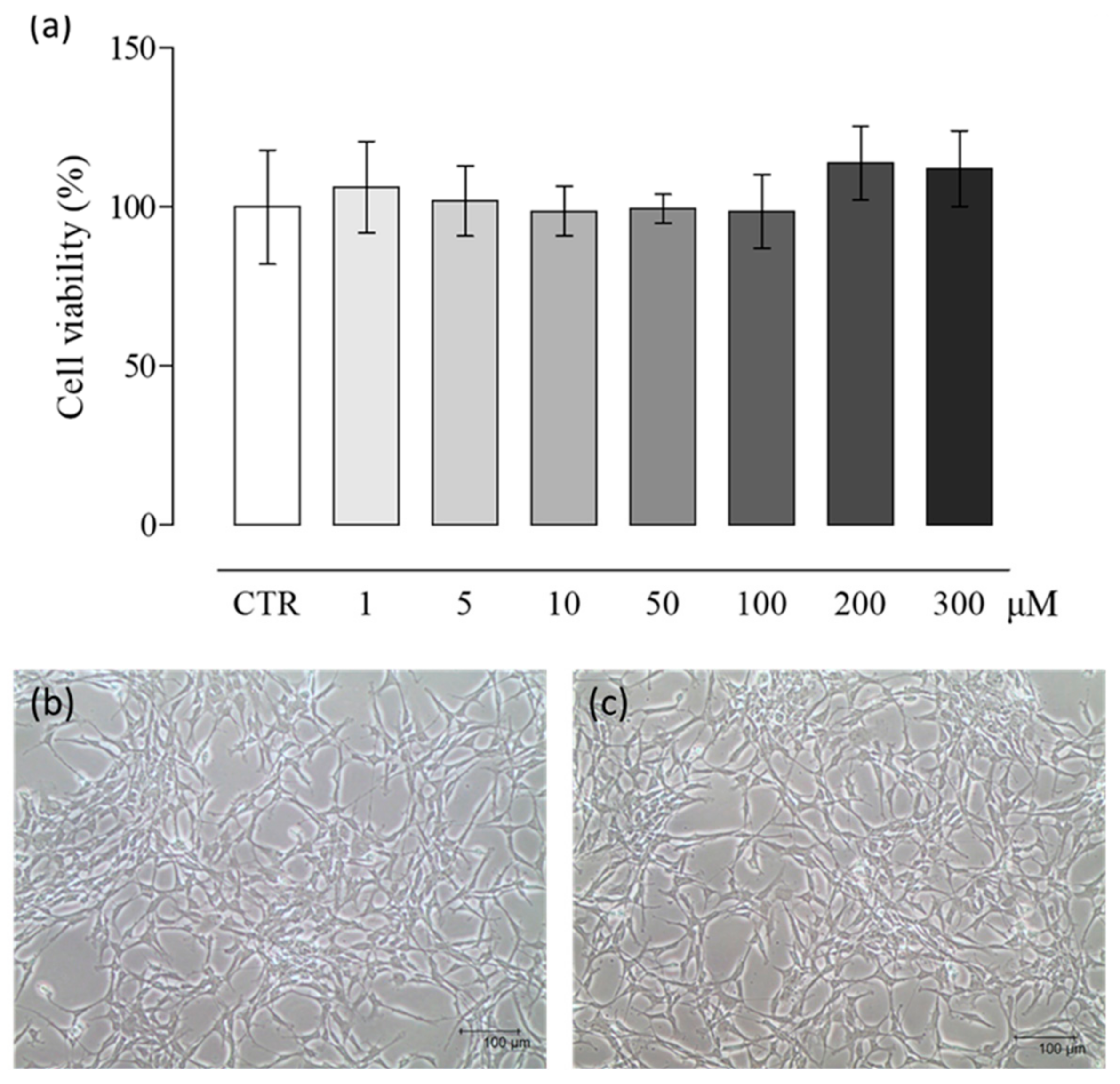 Ijms 21 05267 g001 Ijms 21 05267 g001