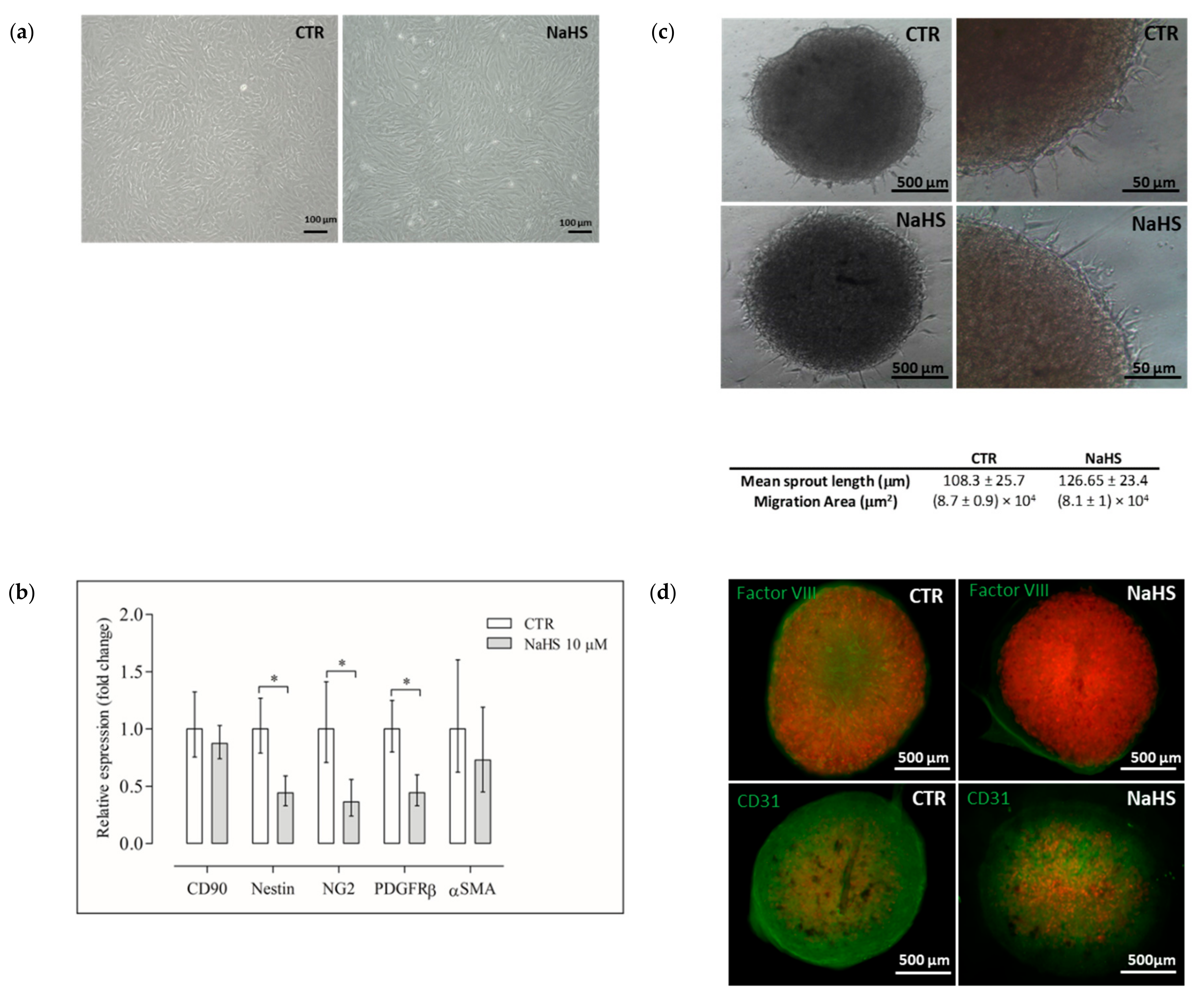 Ijms 21 05267 g004 Ijms 21 05267 g004