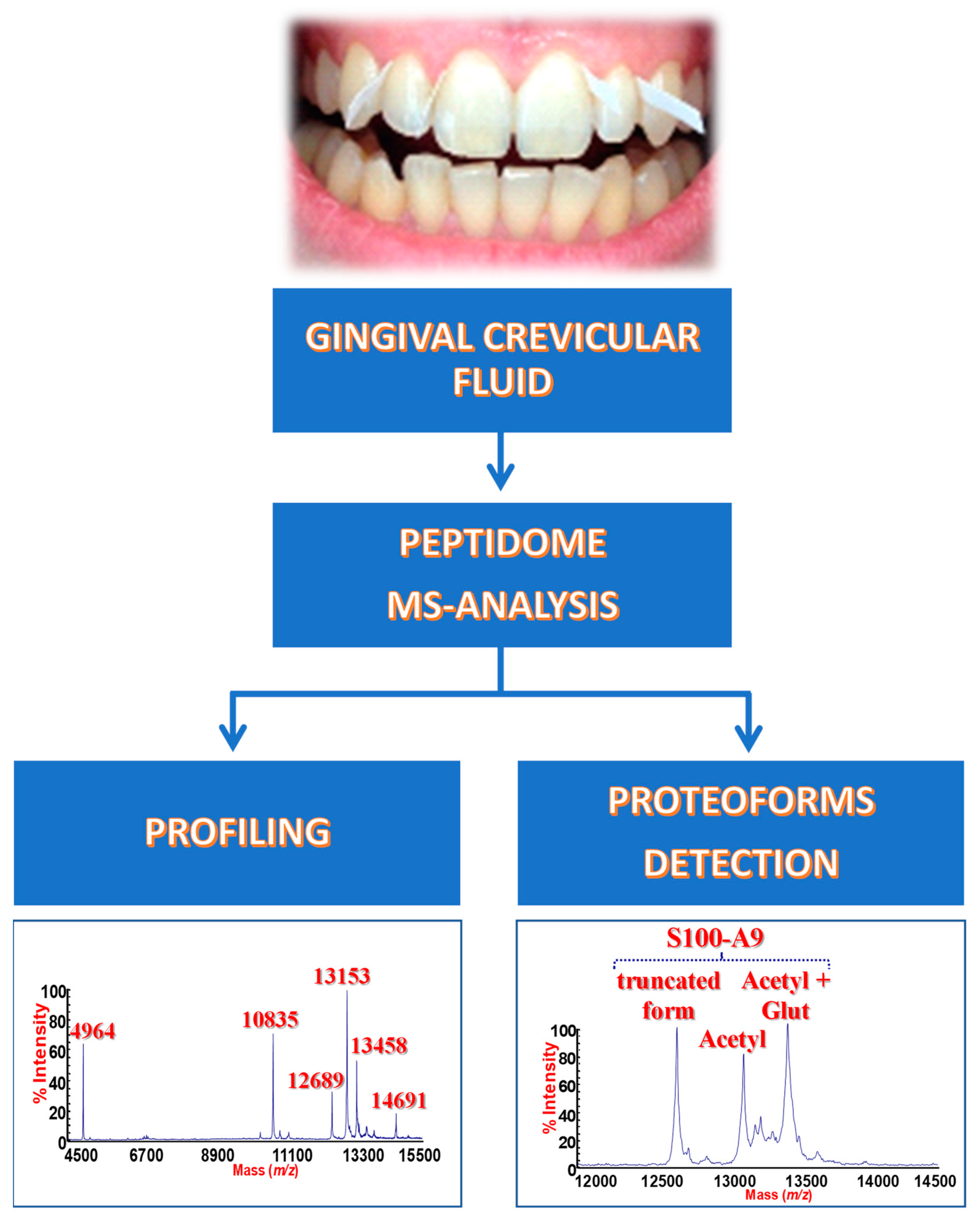 Ijms 21 05270 sch001 Ijms 21 05270 sch001