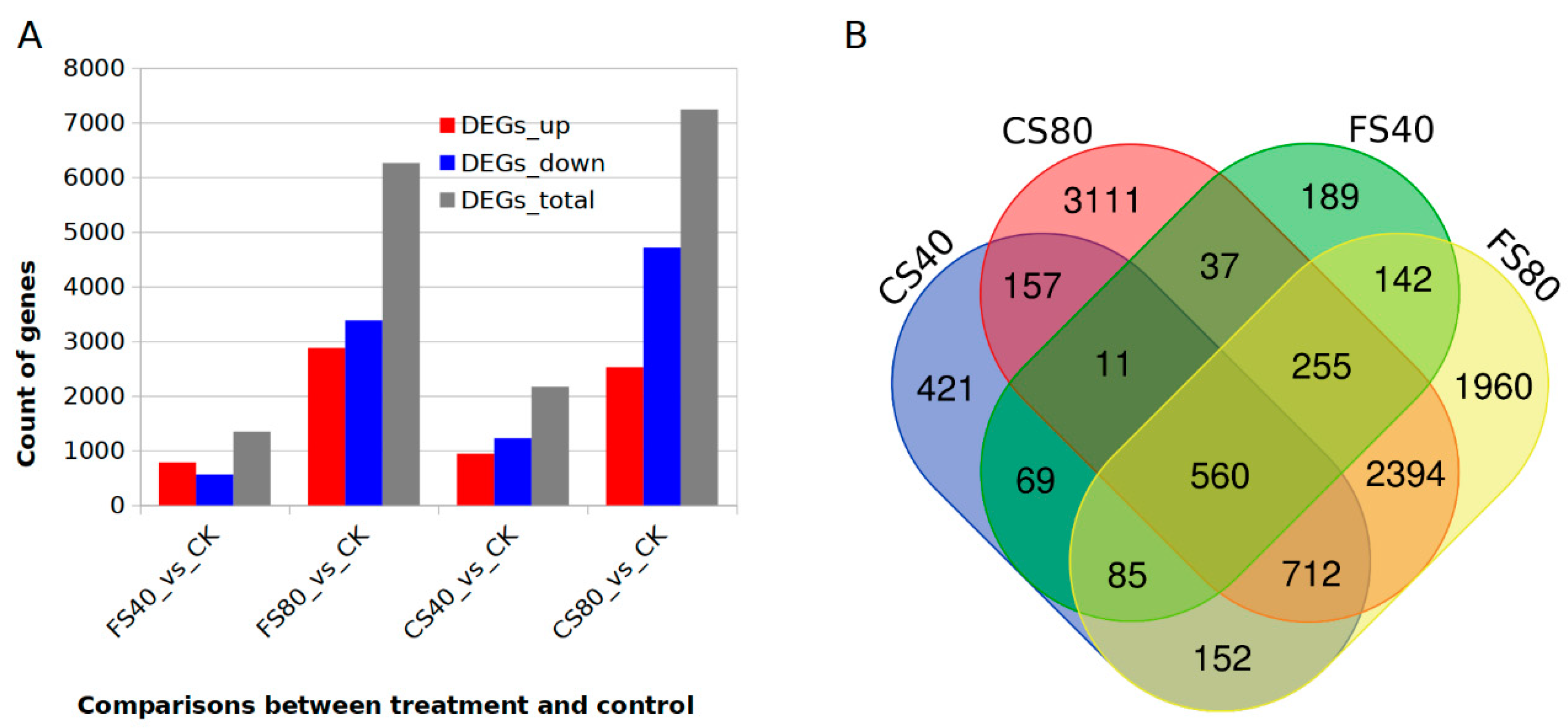 Ijms 21 05284 g003 Ijms 21 05284 g003