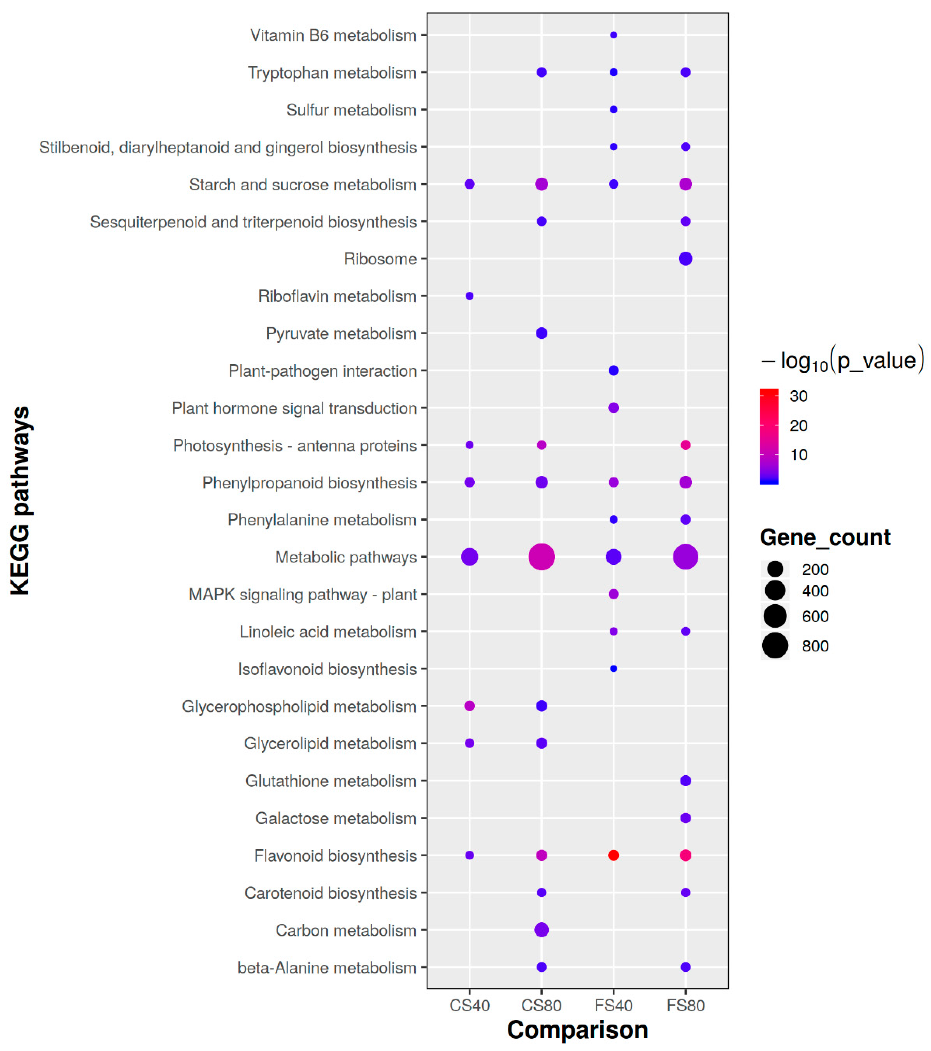 Ijms 21 05284 g004 Ijms 21 05284 g004