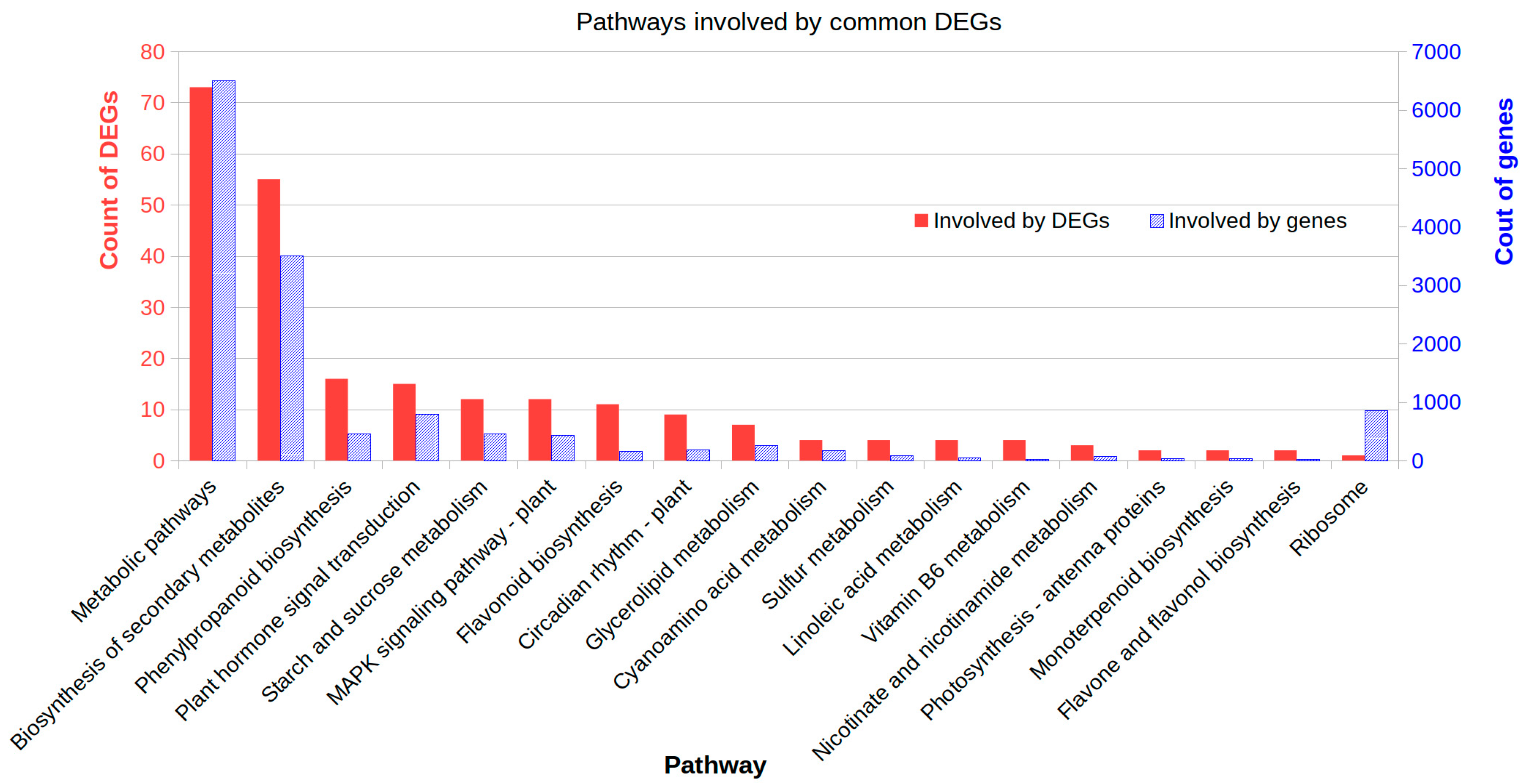 Ijms 21 05284 g005 Ijms 21 05284 g005
