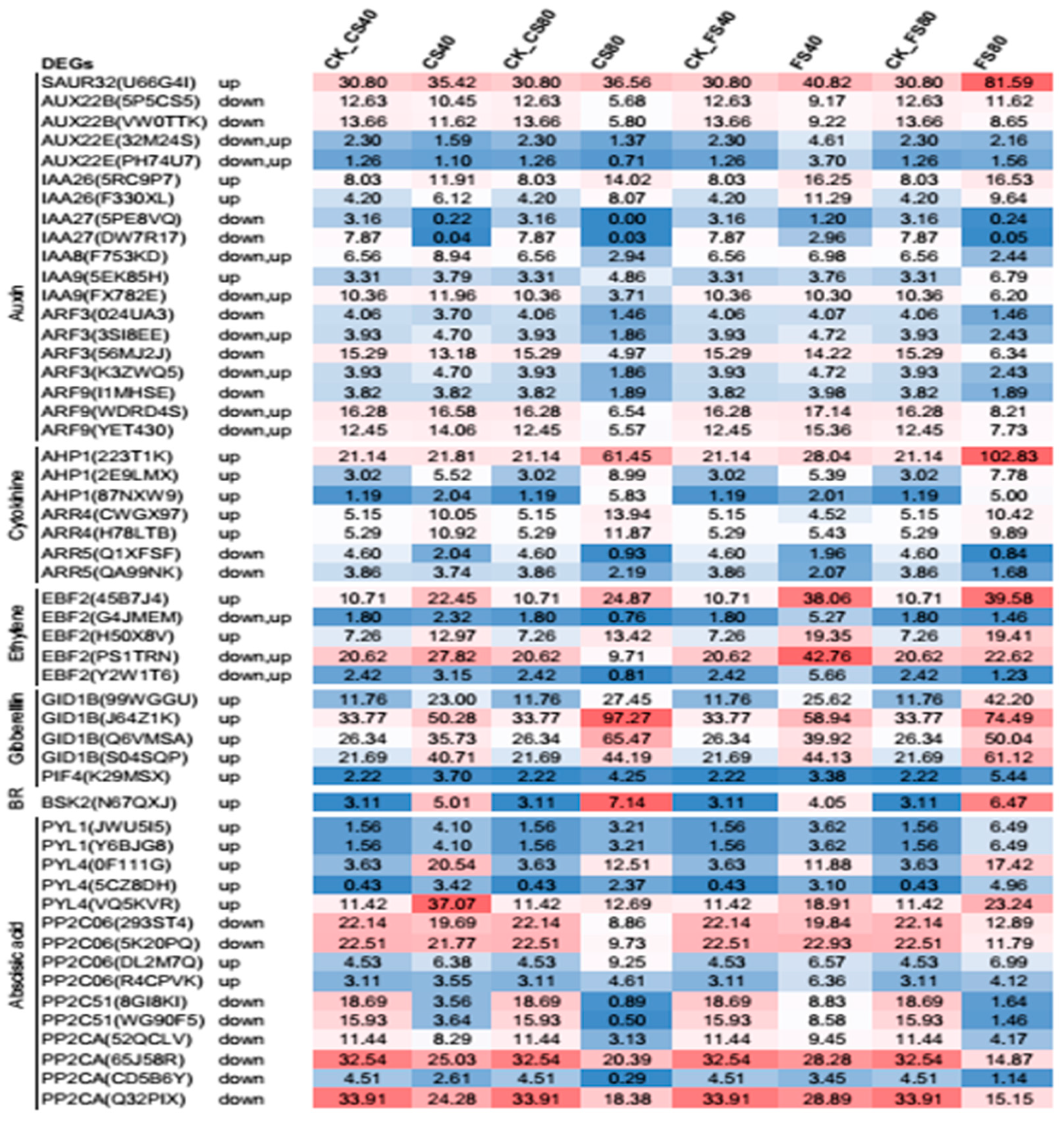 Ijms 21 05284 g009 Ijms 21 05284 g009