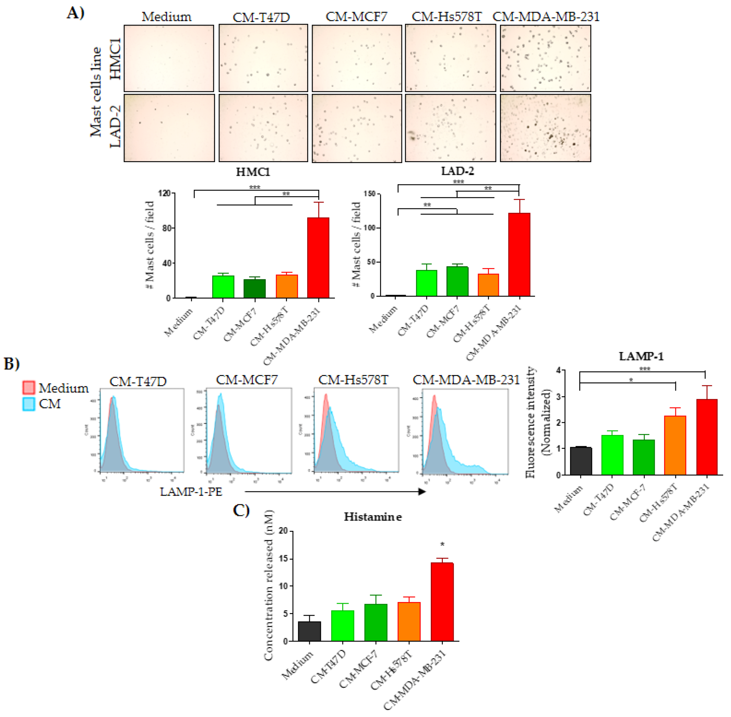Ijms 21 05293 g002 Ijms 21 05293 g002