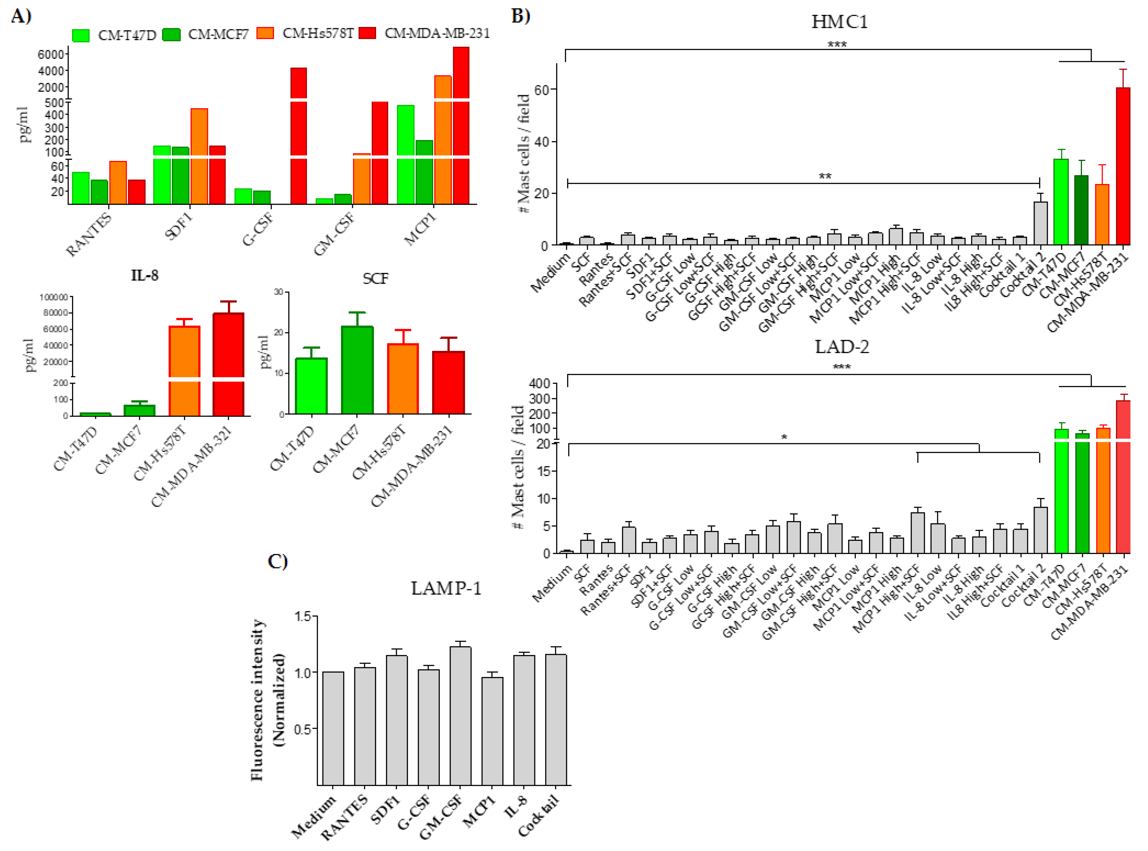 Ijms 21 05293 g003 Ijms 21 05293 g003