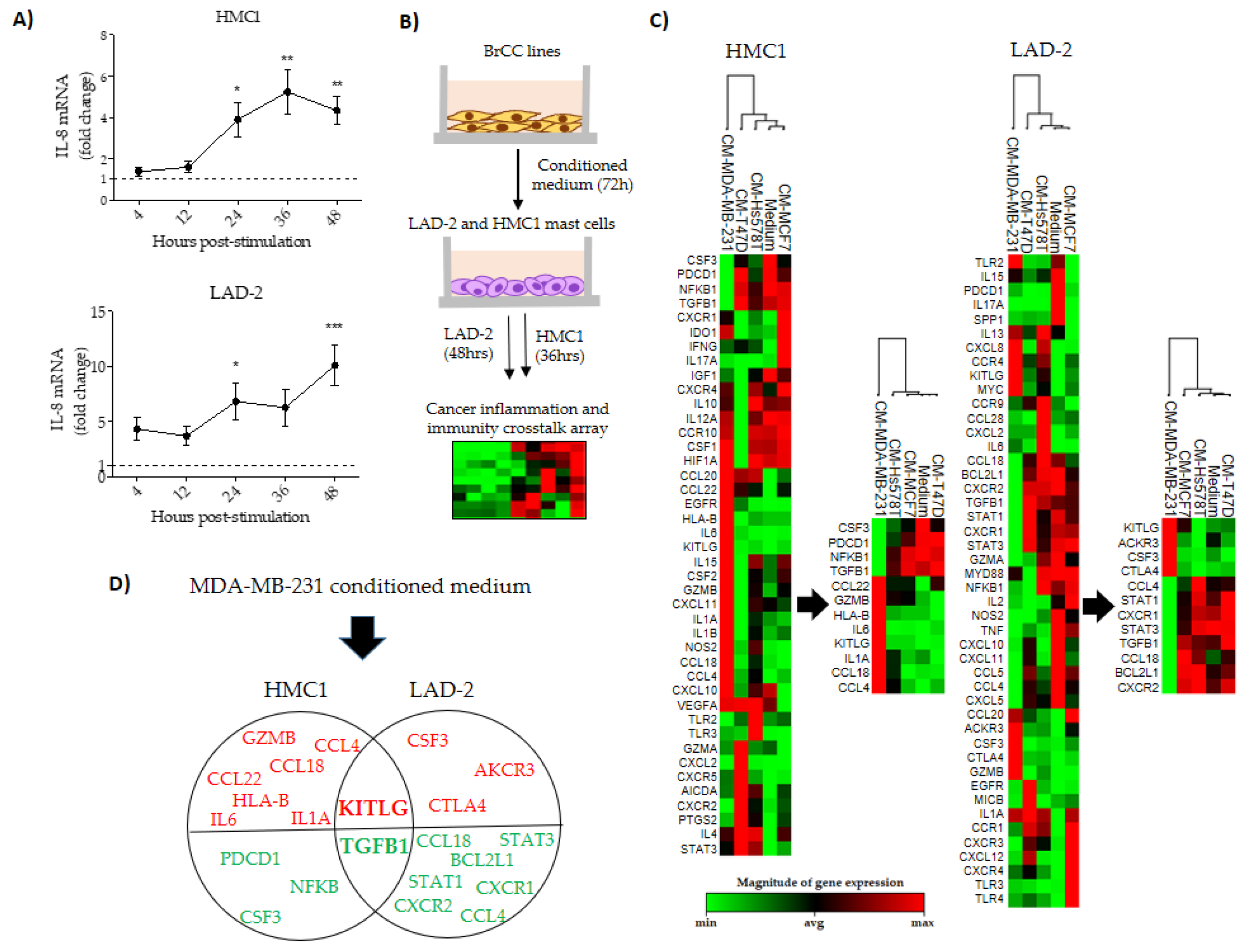 Ijms 21 05293 g004 Ijms 21 05293 g004