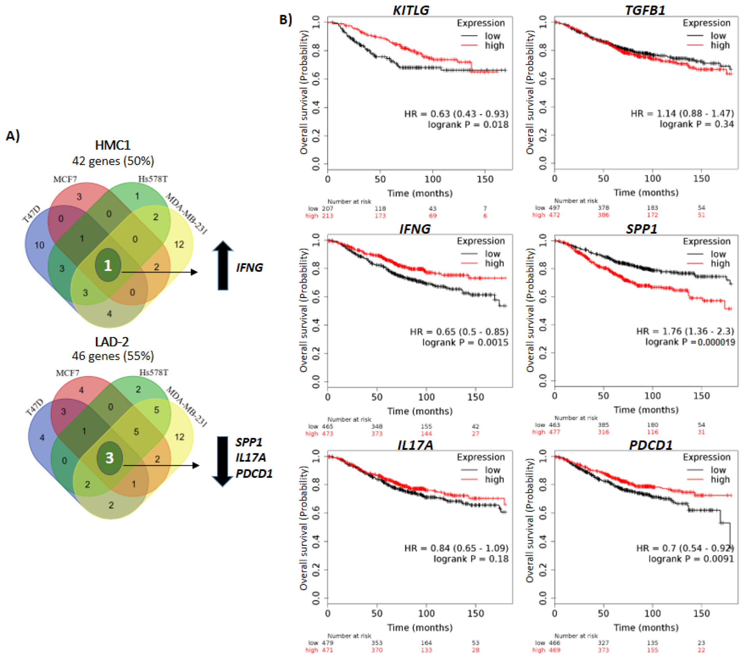 Ijms 21 05293 g005 Ijms 21 05293 g005