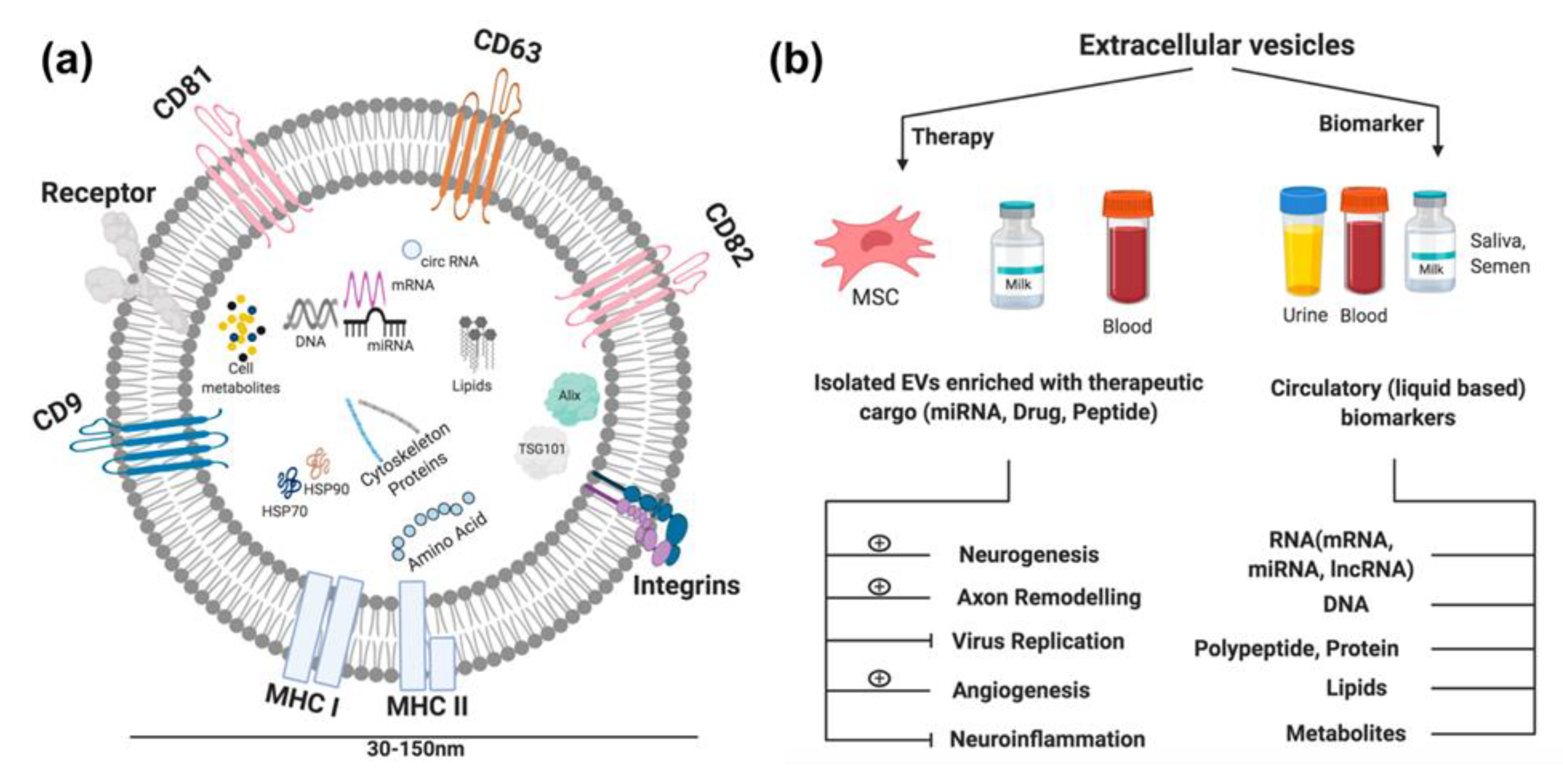 Ijms 21 05306 g001 Ijms 21 05306 g001