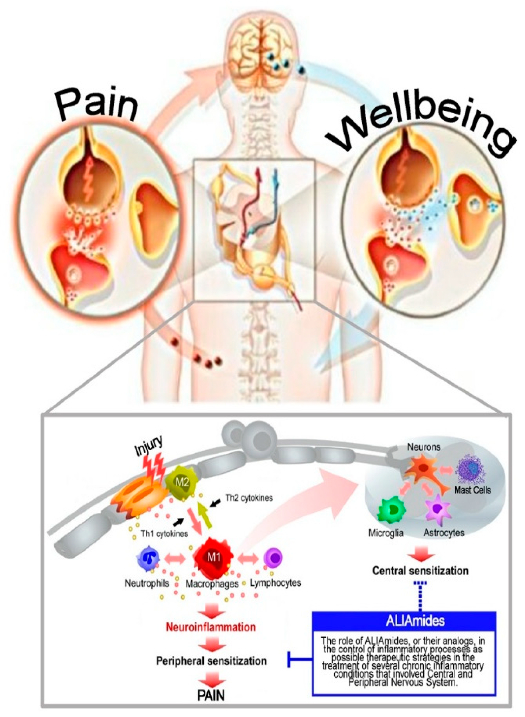 Ijms 21 05330 g002 Ijms 21 05330 g002