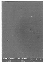 Ijms 21 05348 i001 Ijms 21 05348 i001