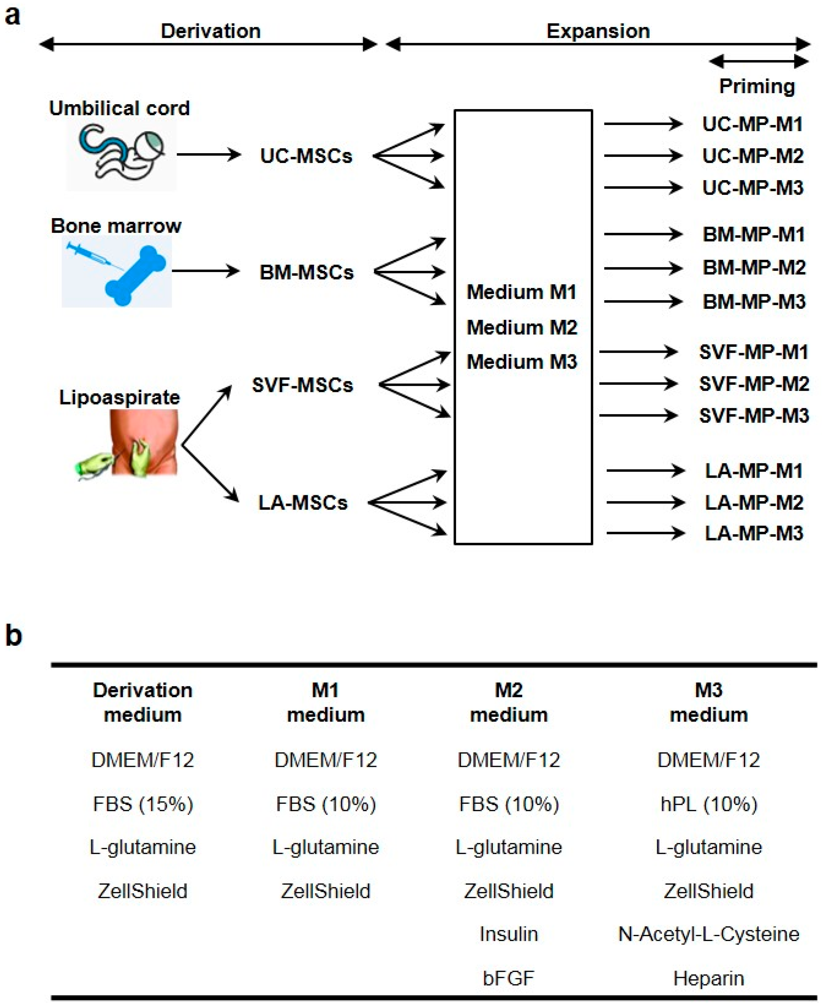 Ijms 21 05366 g001 Ijms 21 05366 g001