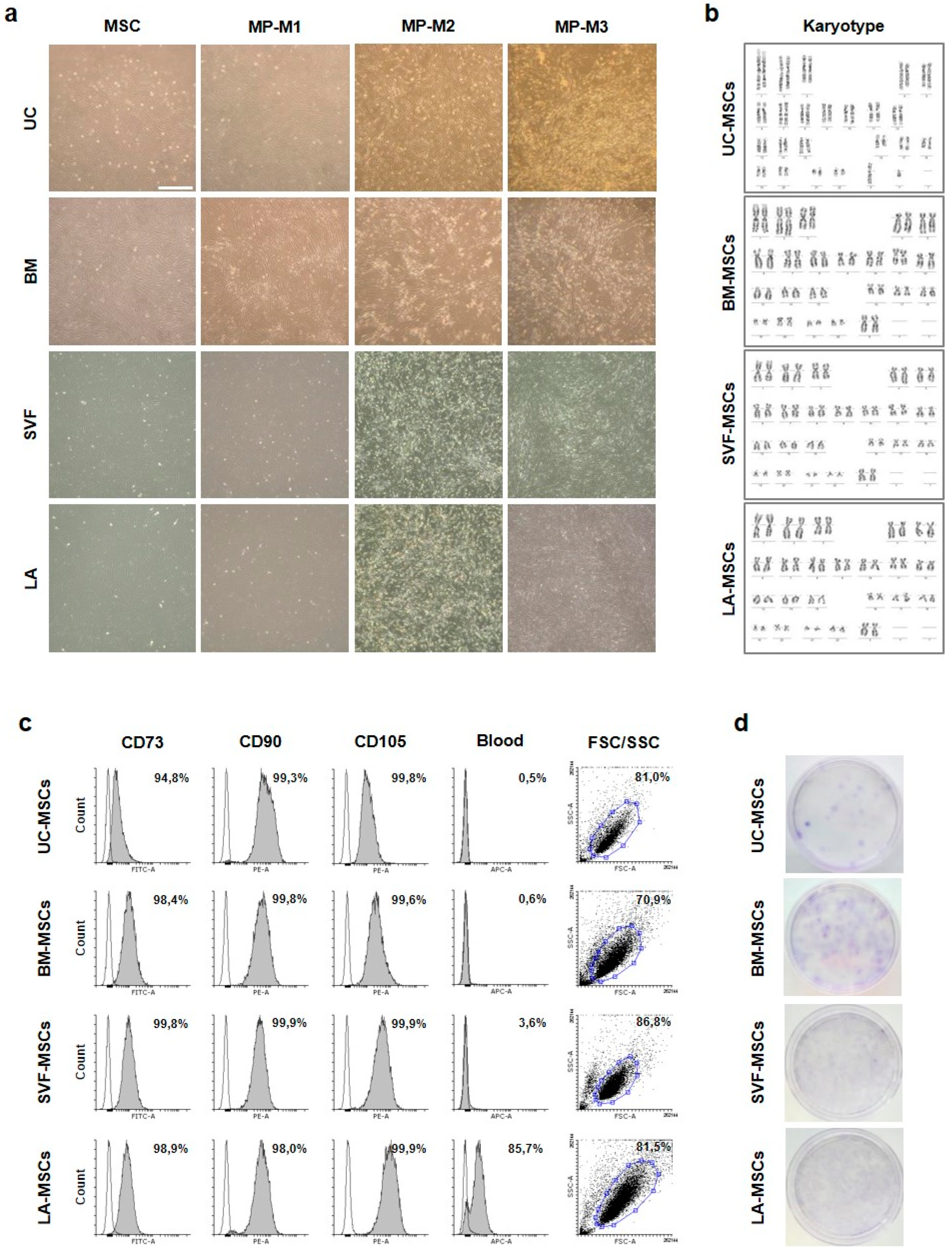 Ijms 21 05366 g002 Ijms 21 05366 g002