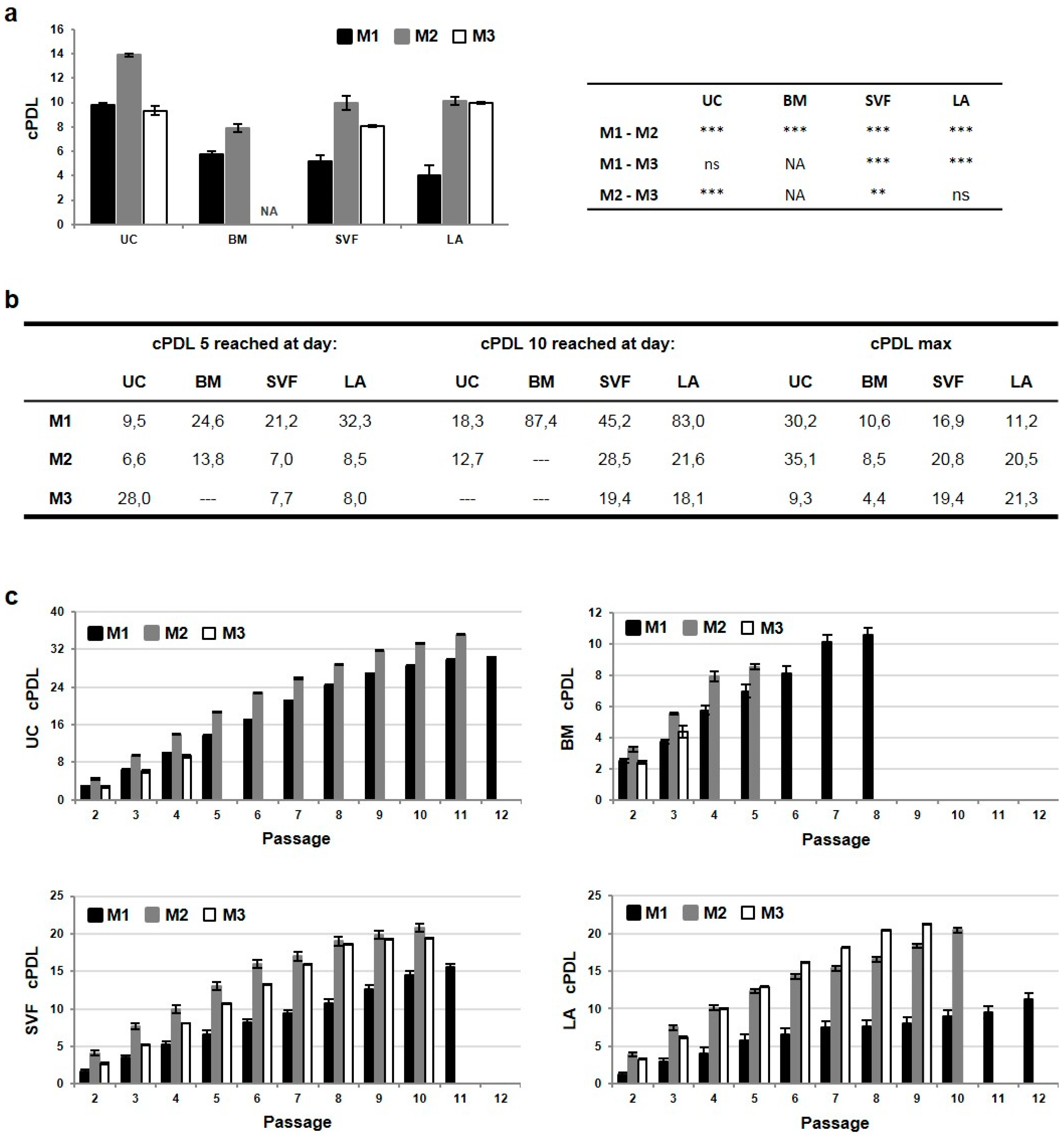 Ijms 21 05366 g004 Ijms 21 05366 g004