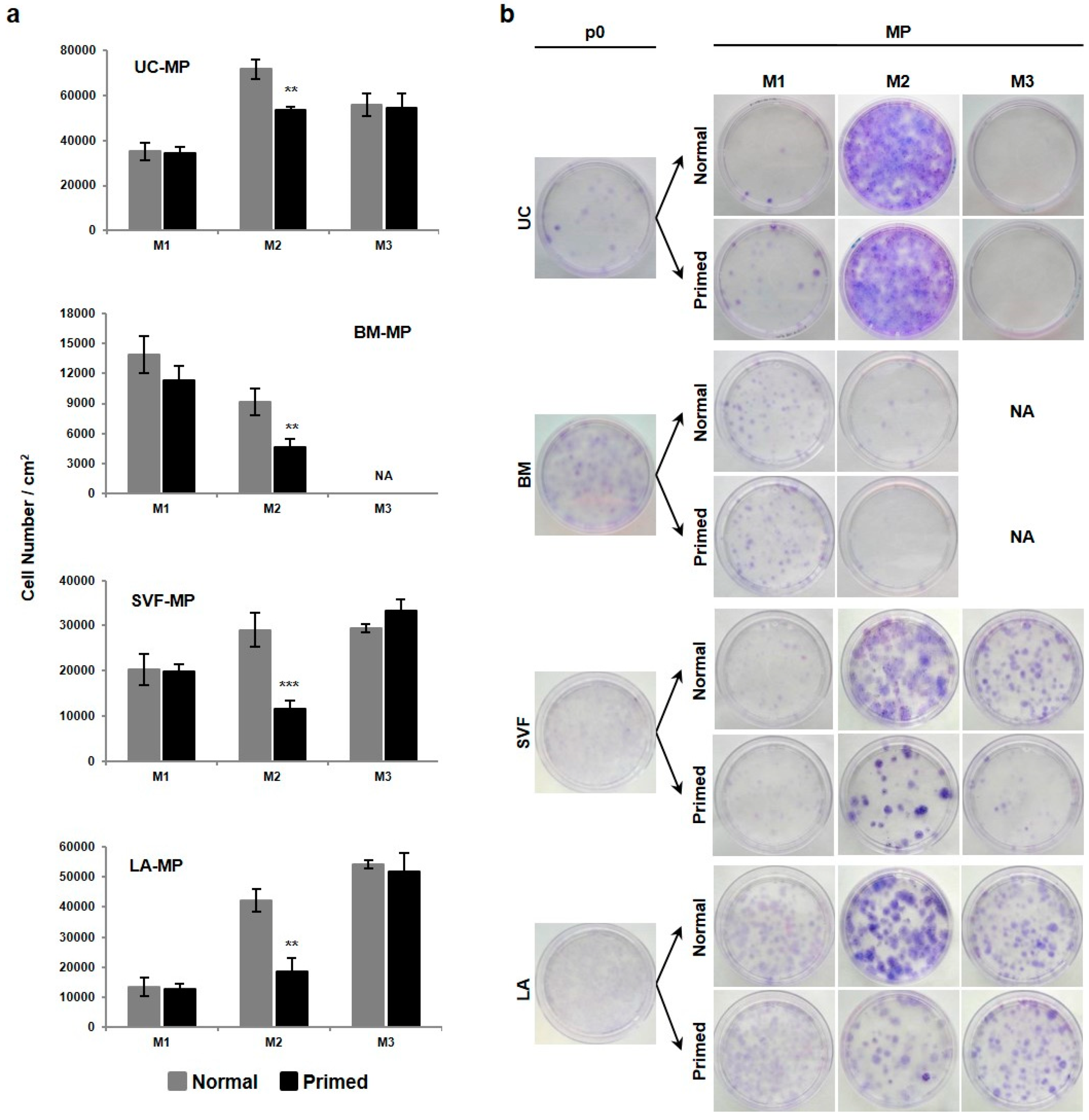 Ijms 21 05366 g005 Ijms 21 05366 g005