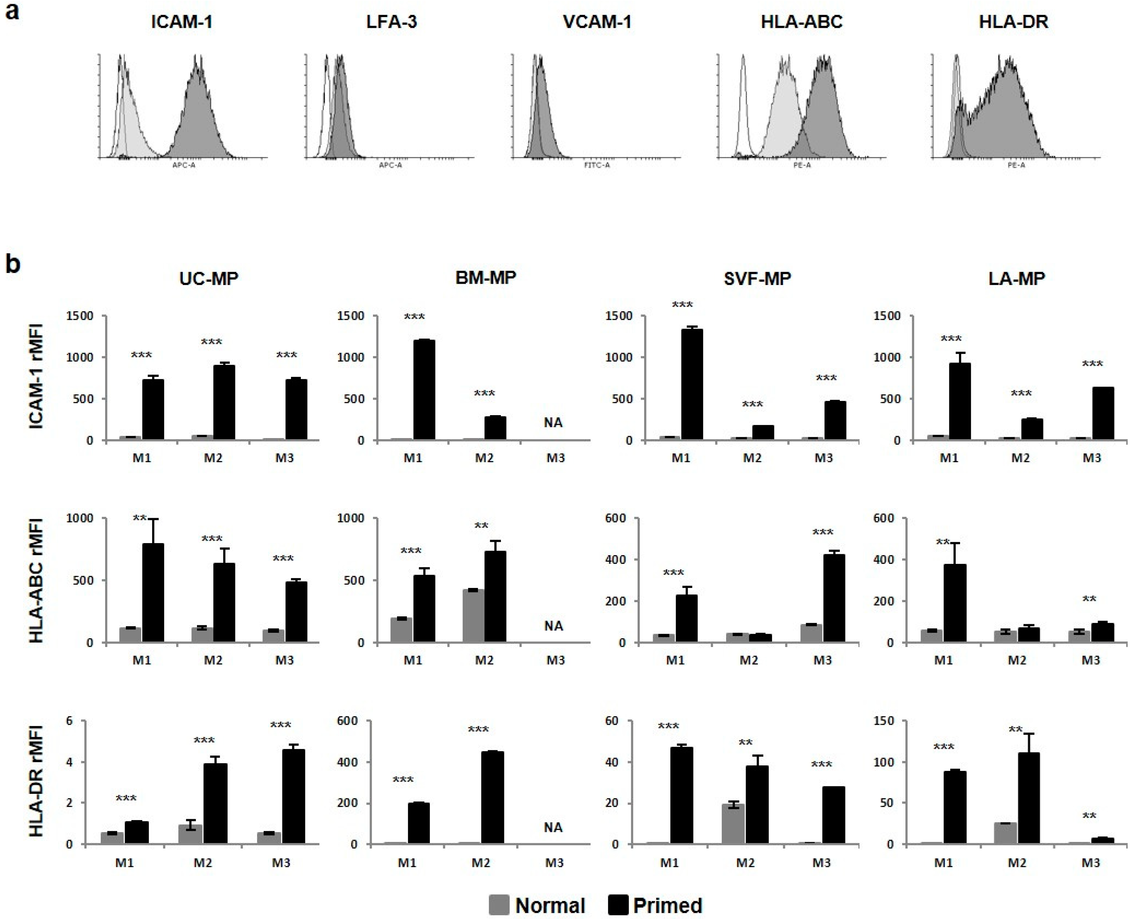 Ijms 21 05366 g006 Ijms 21 05366 g006