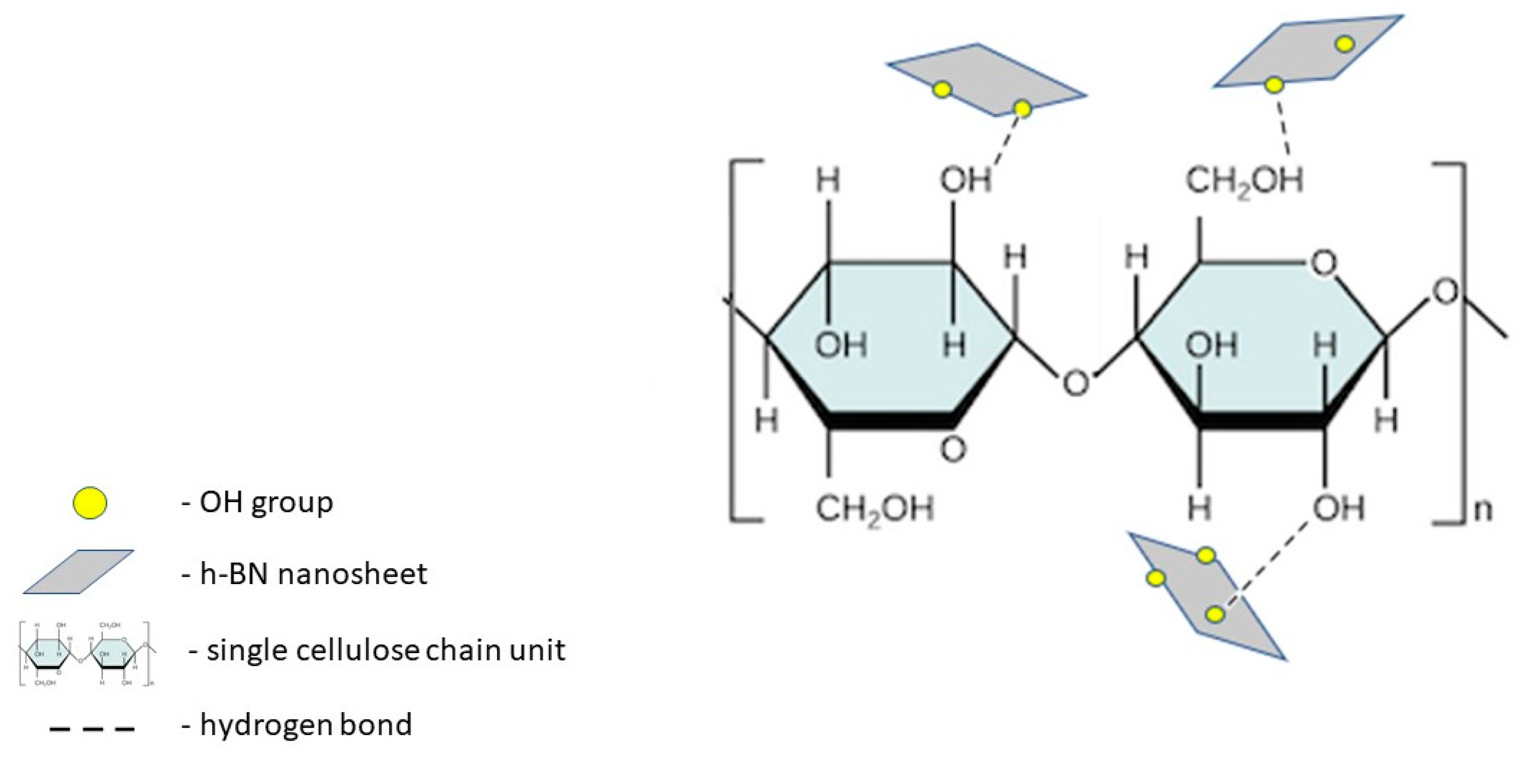 Ijms 21 05396 g001 Ijms 21 05396 g001