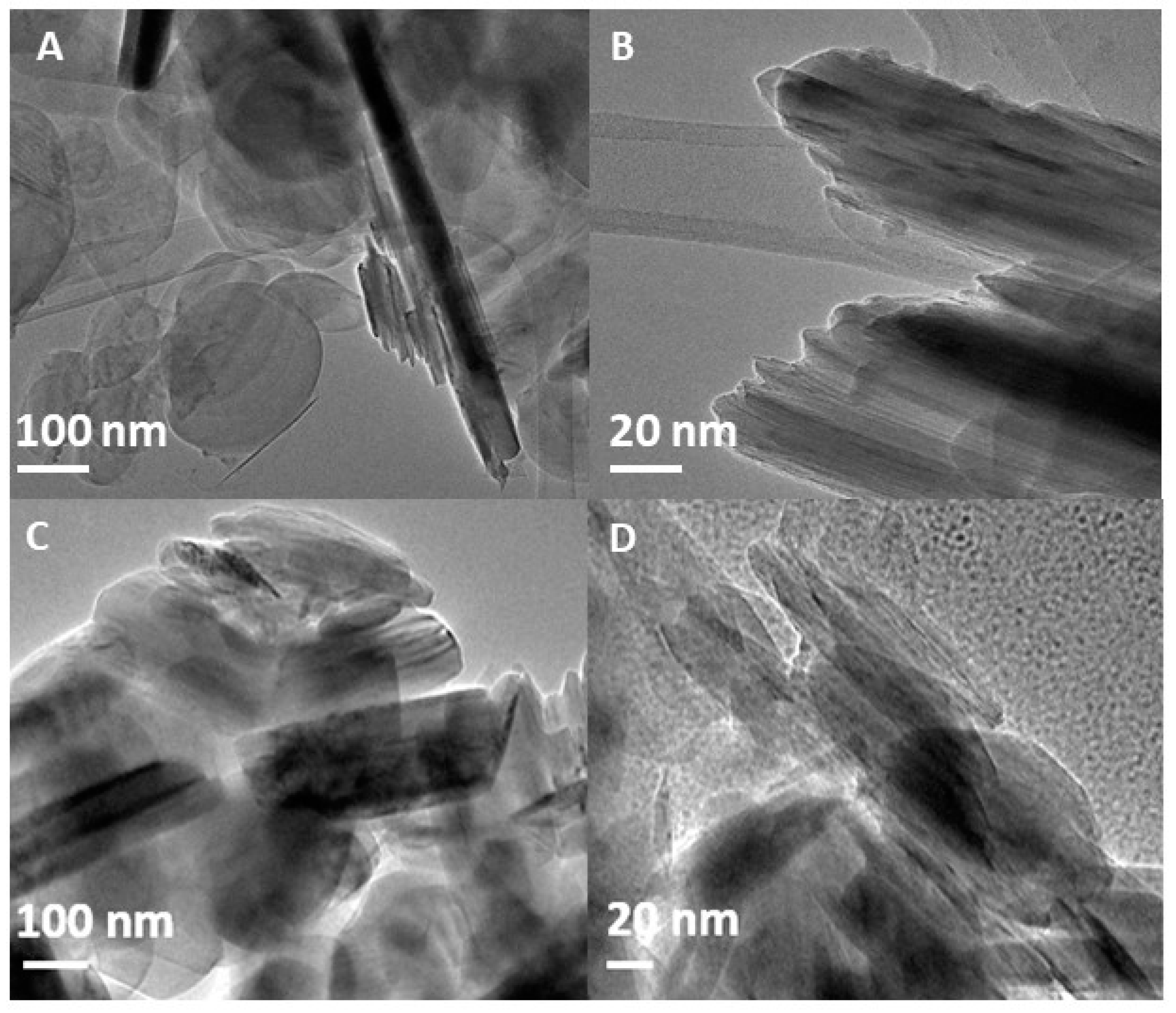 Ijms 21 05396 g002 Ijms 21 05396 g002