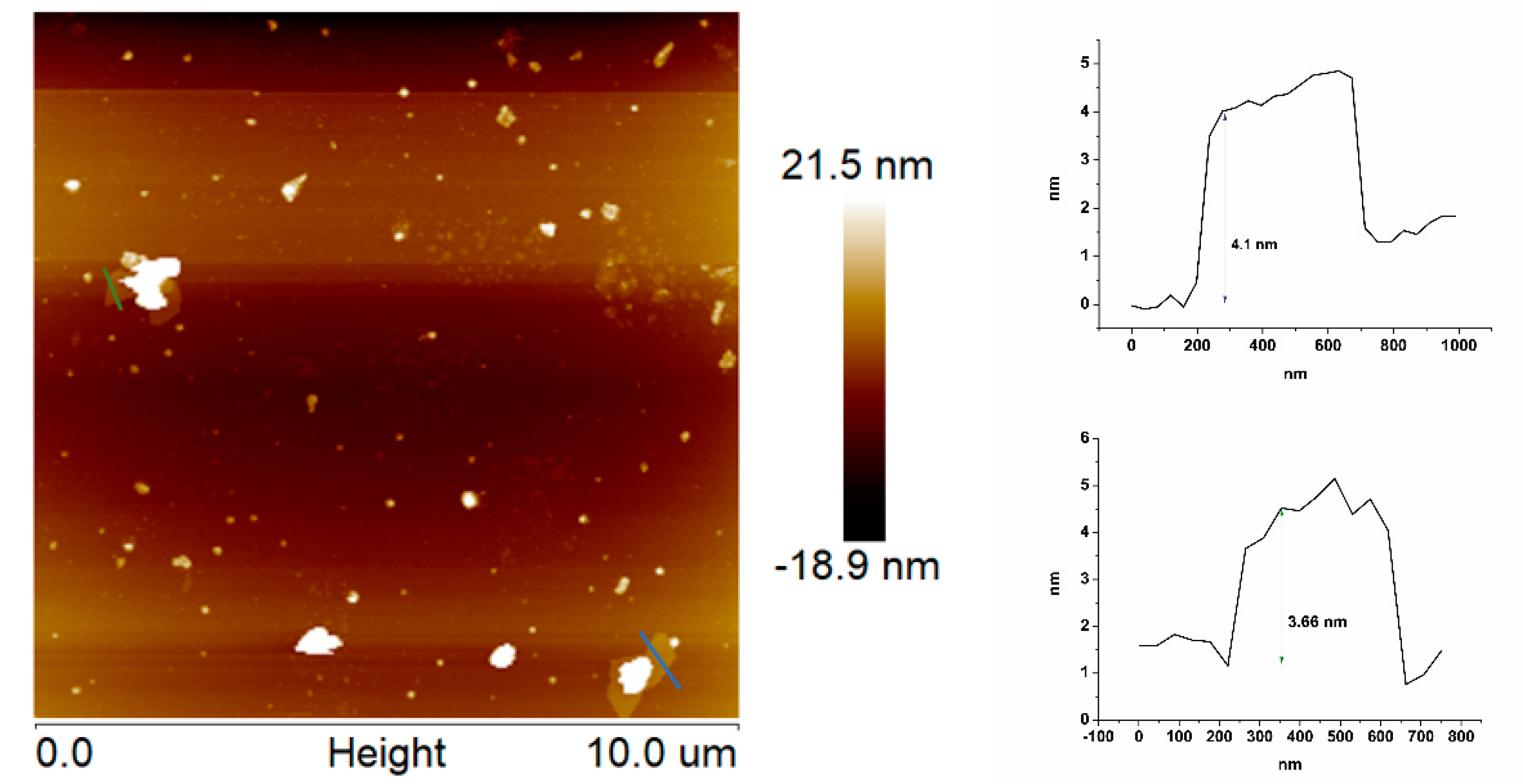 Ijms 21 05396 g003 Ijms 21 05396 g003