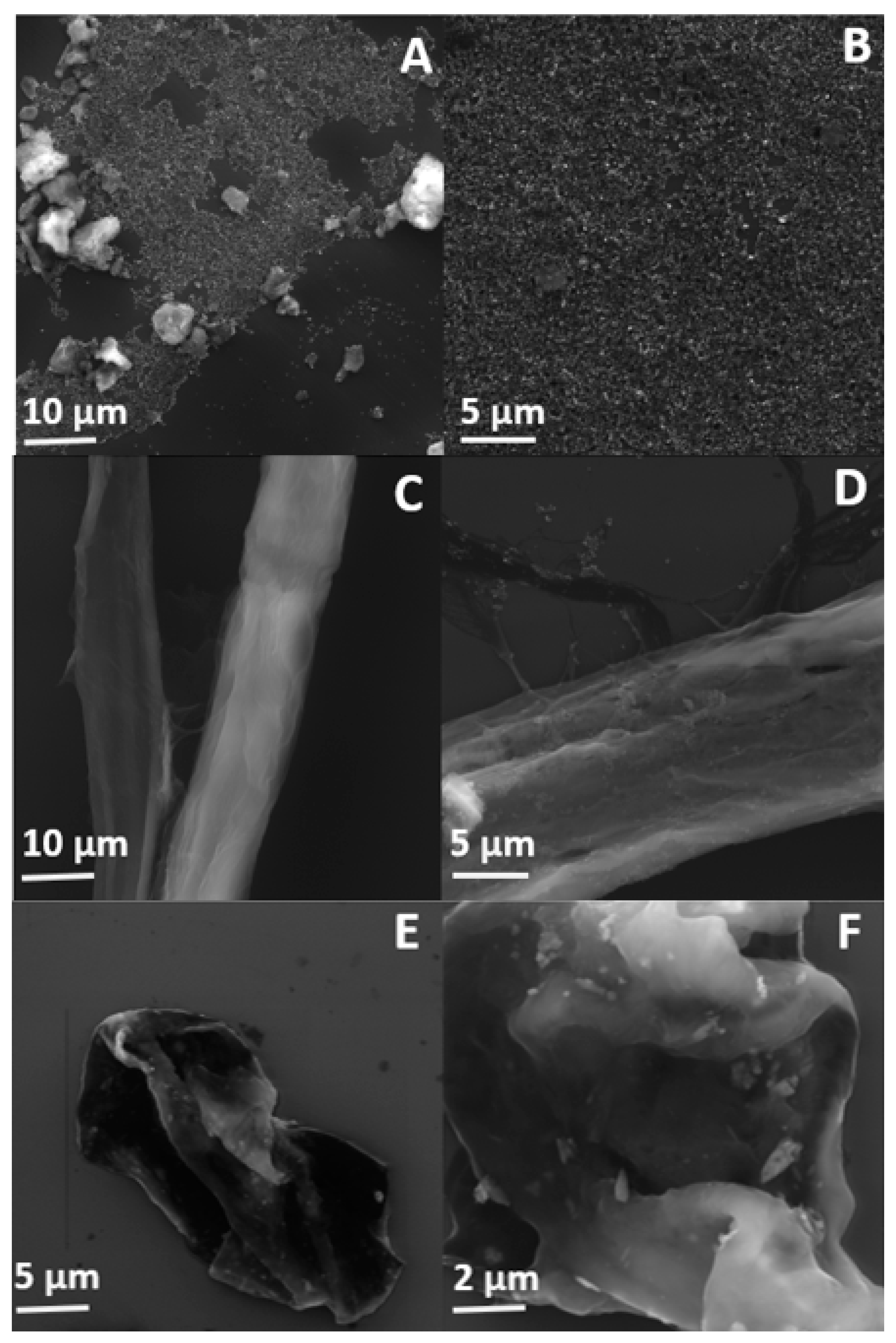 Ijms 21 05396 g004 Ijms 21 05396 g004