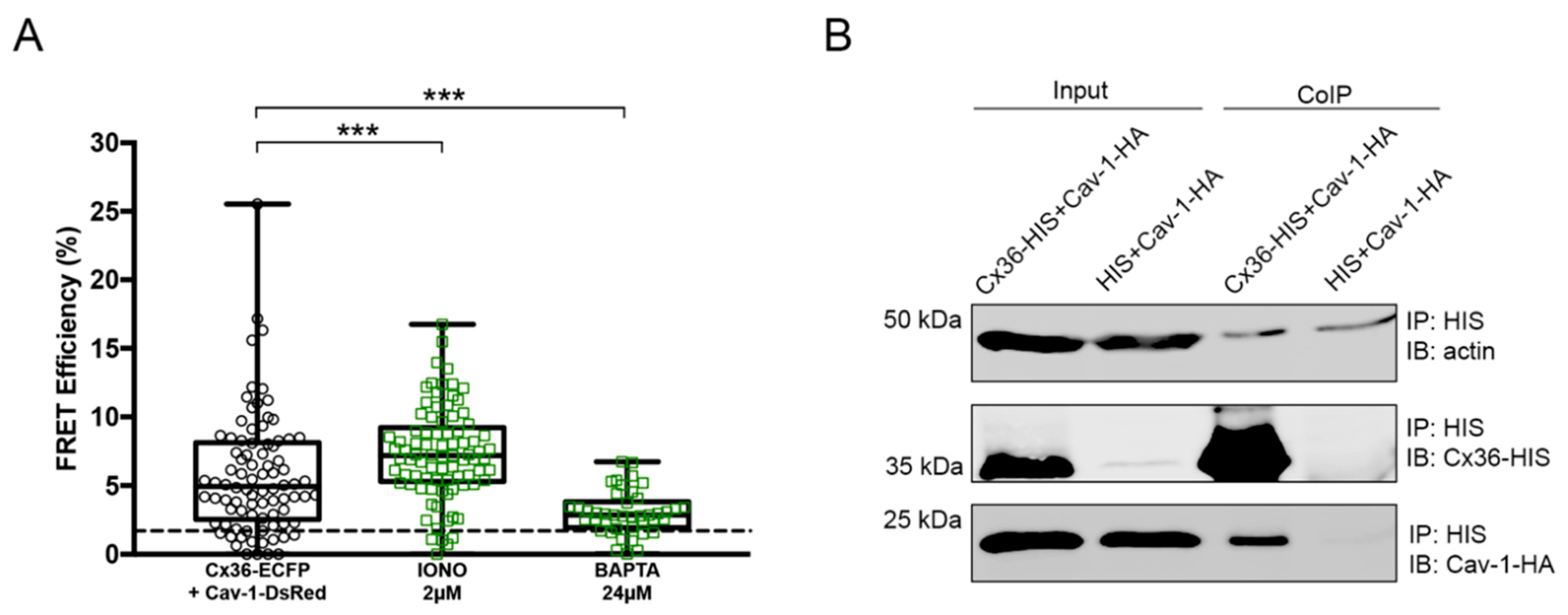Ijms 21 05401 g002 Ijms 21 05401 g002