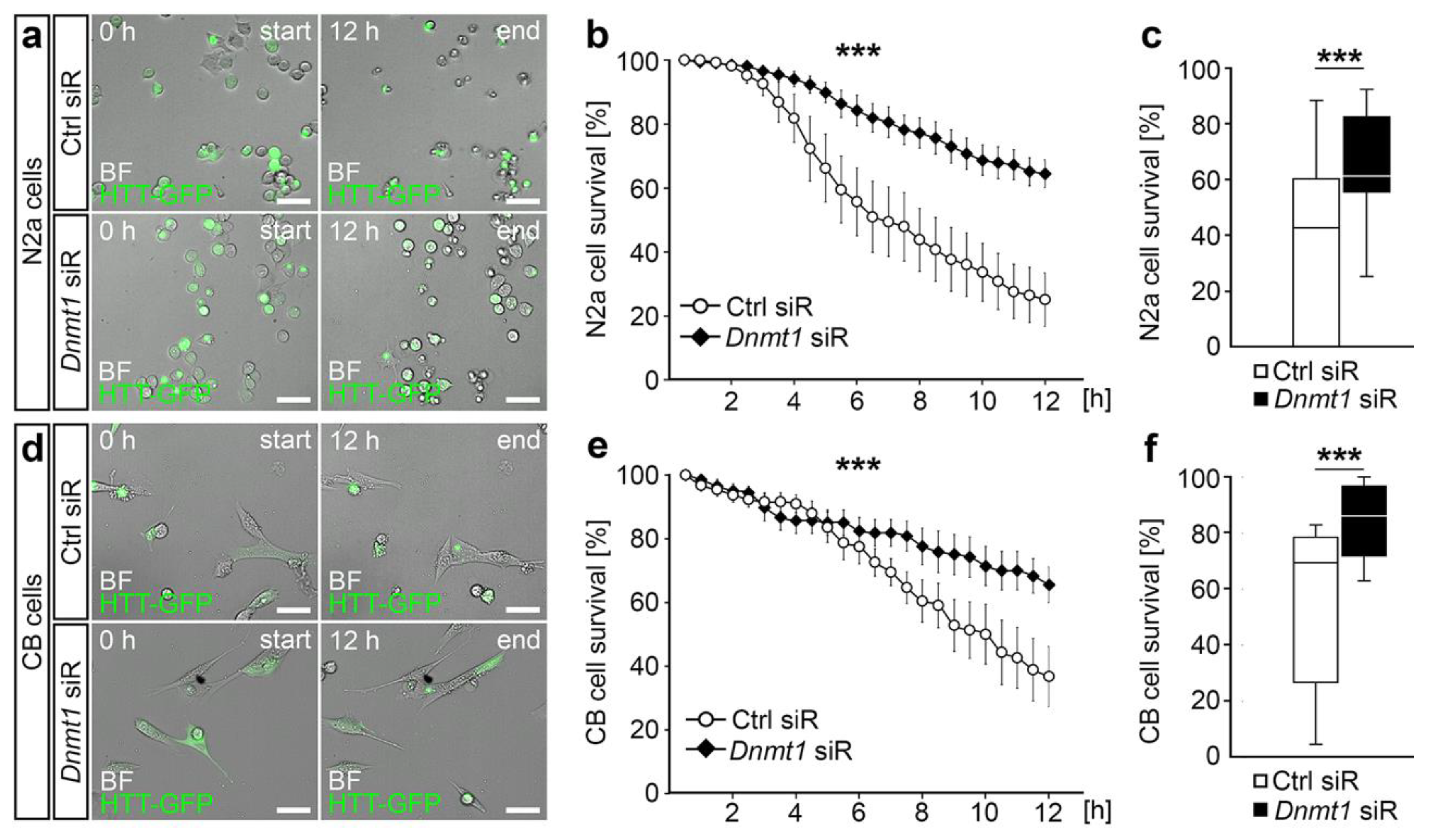 Ijms 21 05420 g003 Ijms 21 05420 g003