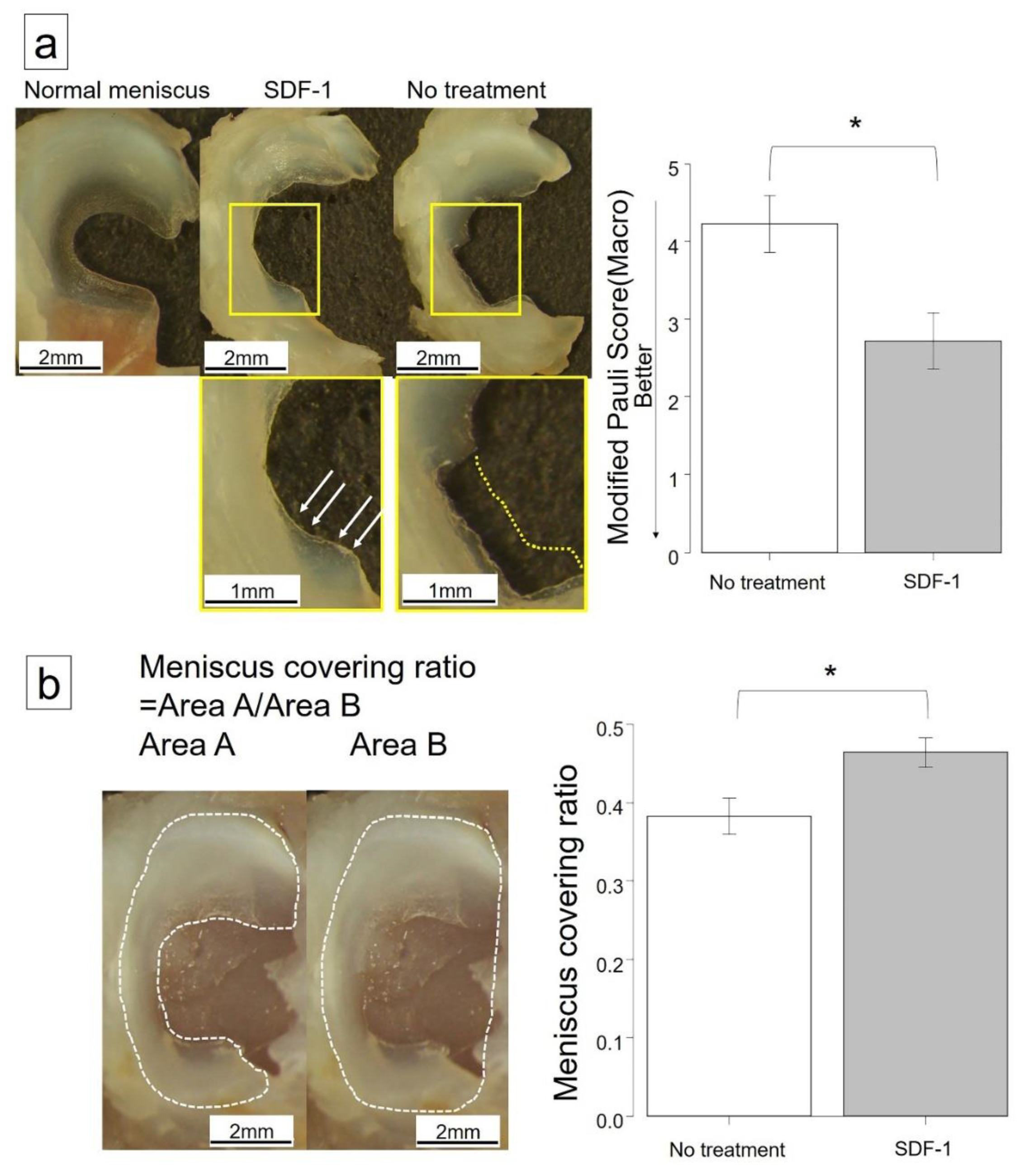 Ijms 21 05454 g001 Ijms 21 05454 g001