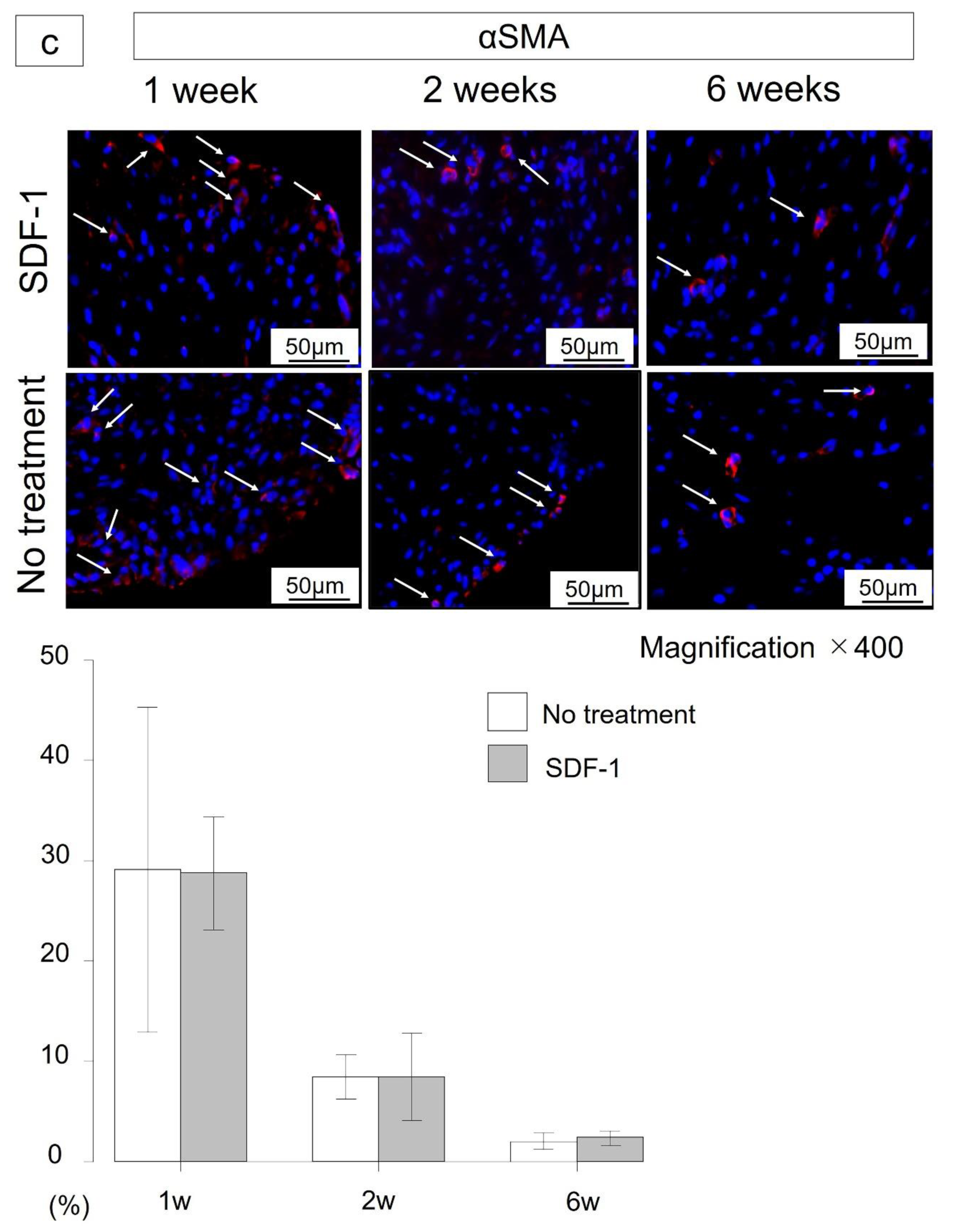 Ijms 21 05454 g003c Ijms 21 05454 g003c