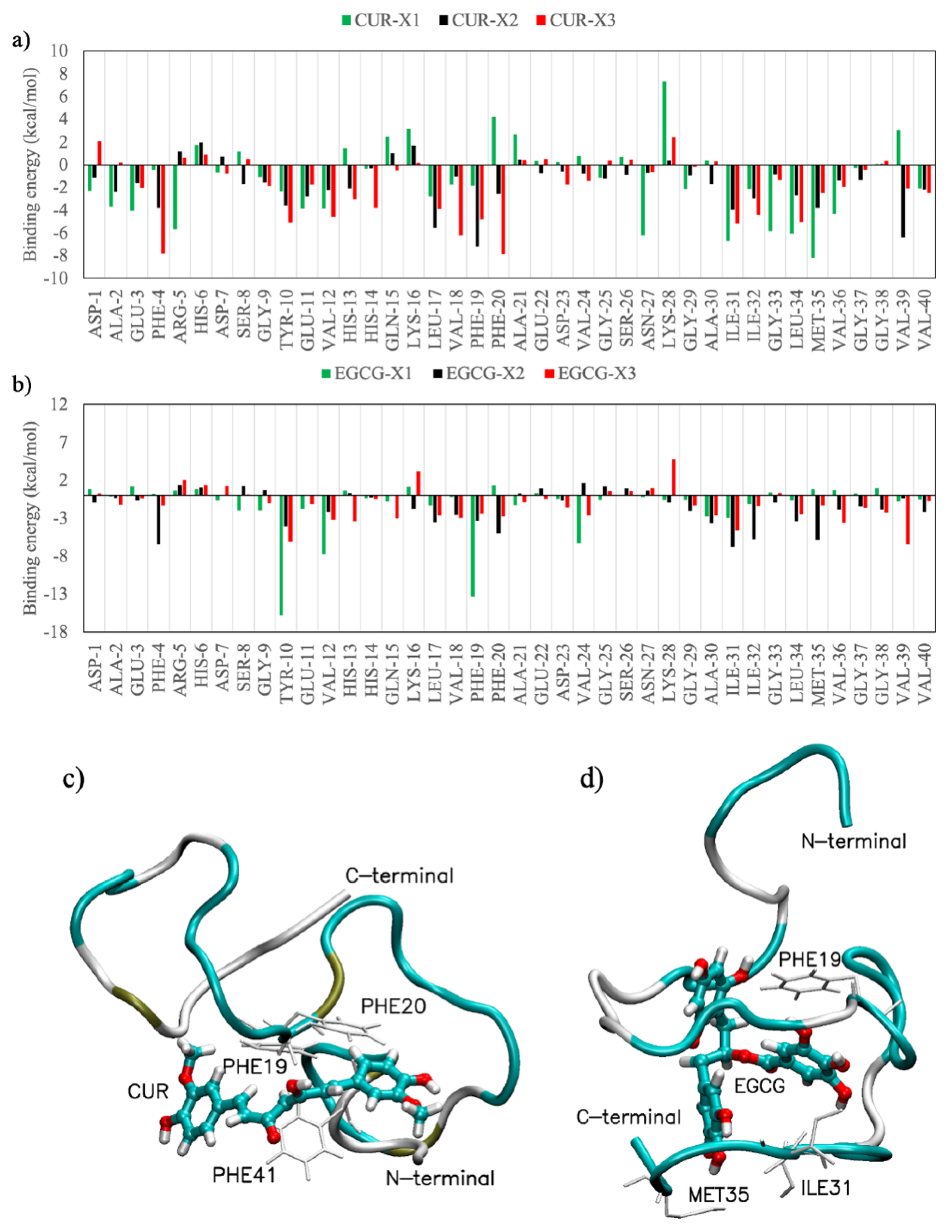 Ijms 21 05462 g007 Ijms 21 05462 g007