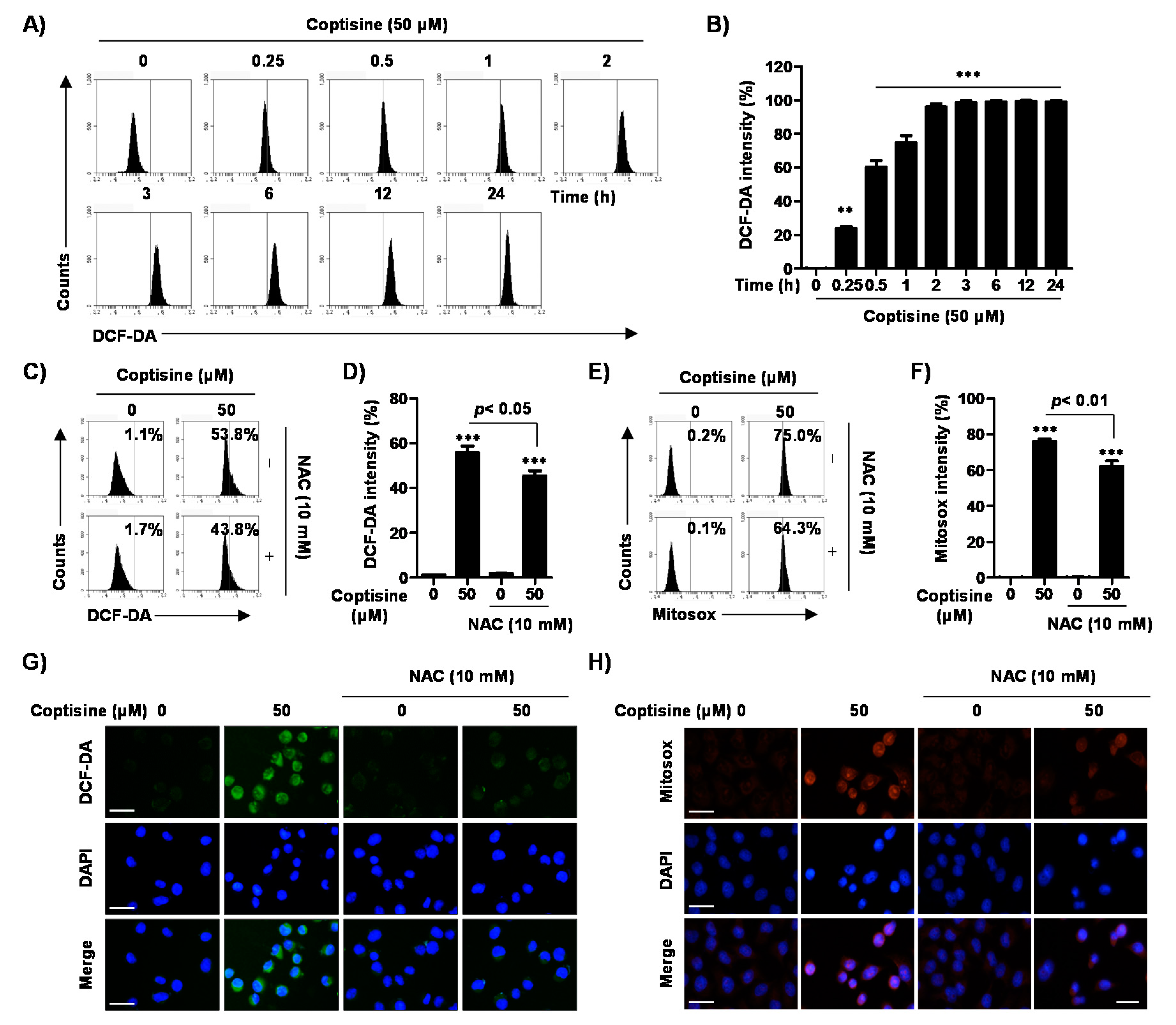 Ijms 21 05502 g005 Ijms 21 05502 g005