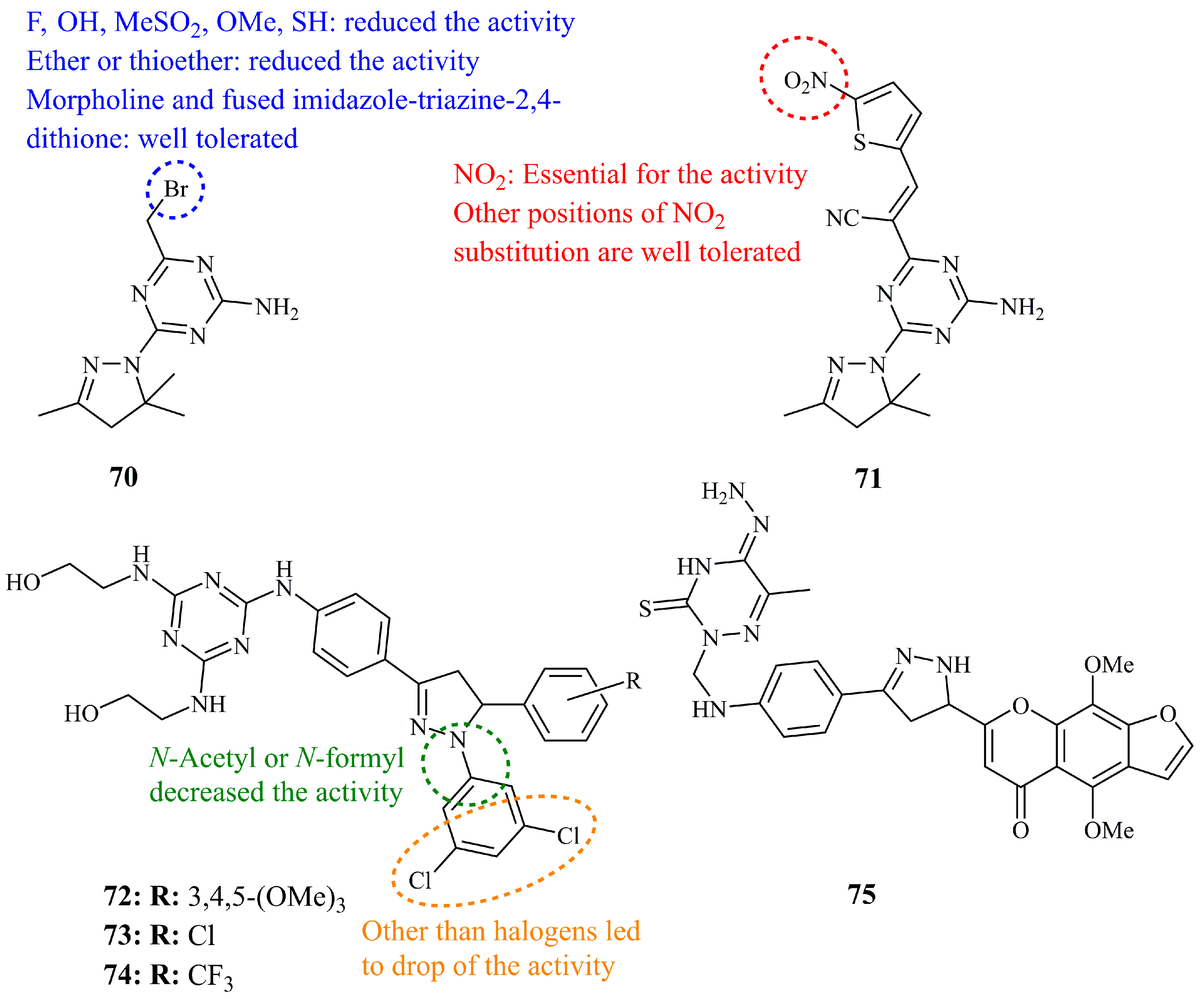 Ijms 21 05507 g025 Ijms 21 05507 g025