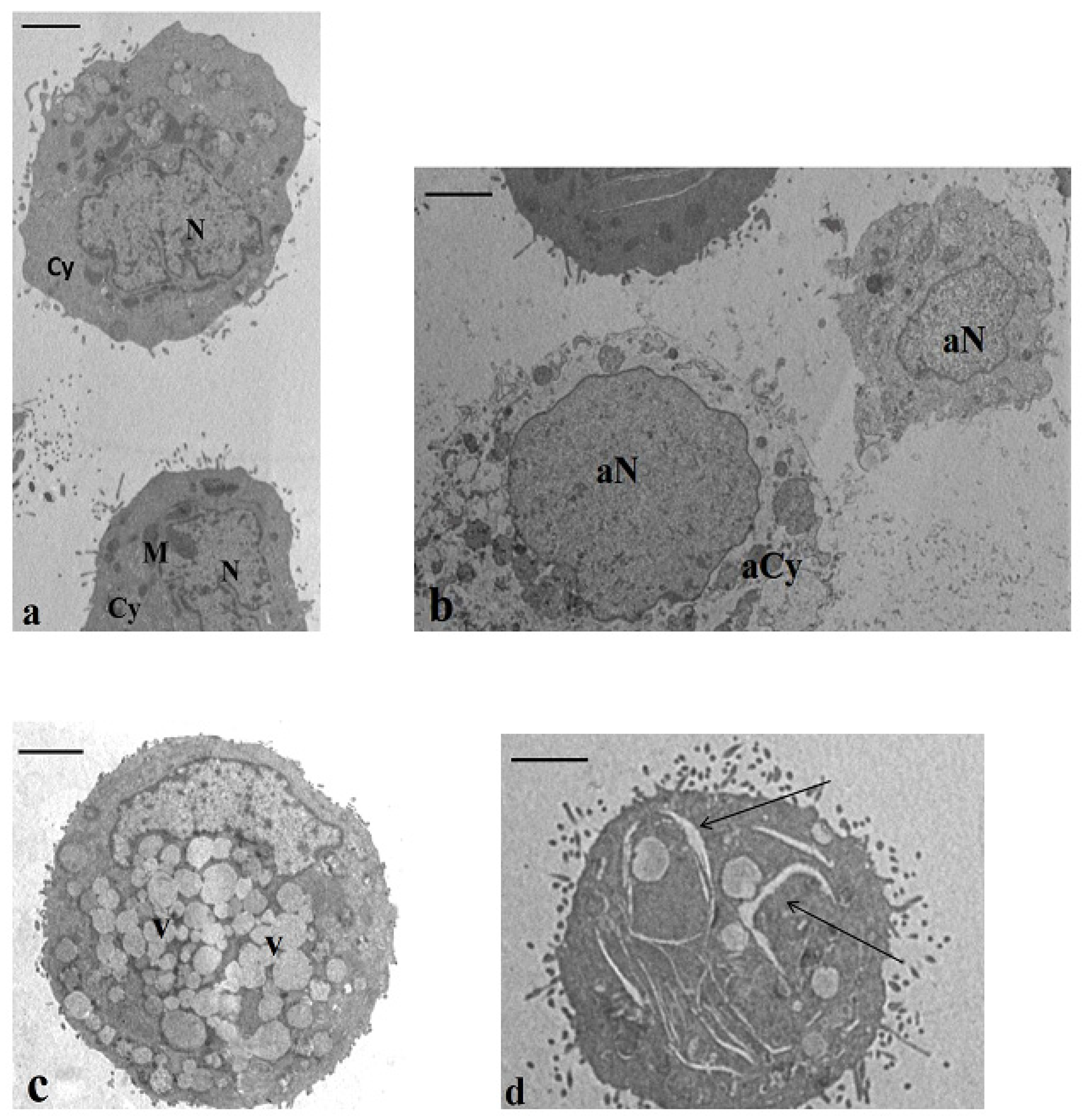 Ijms 21 05533 g005 Ijms 21 05533 g005