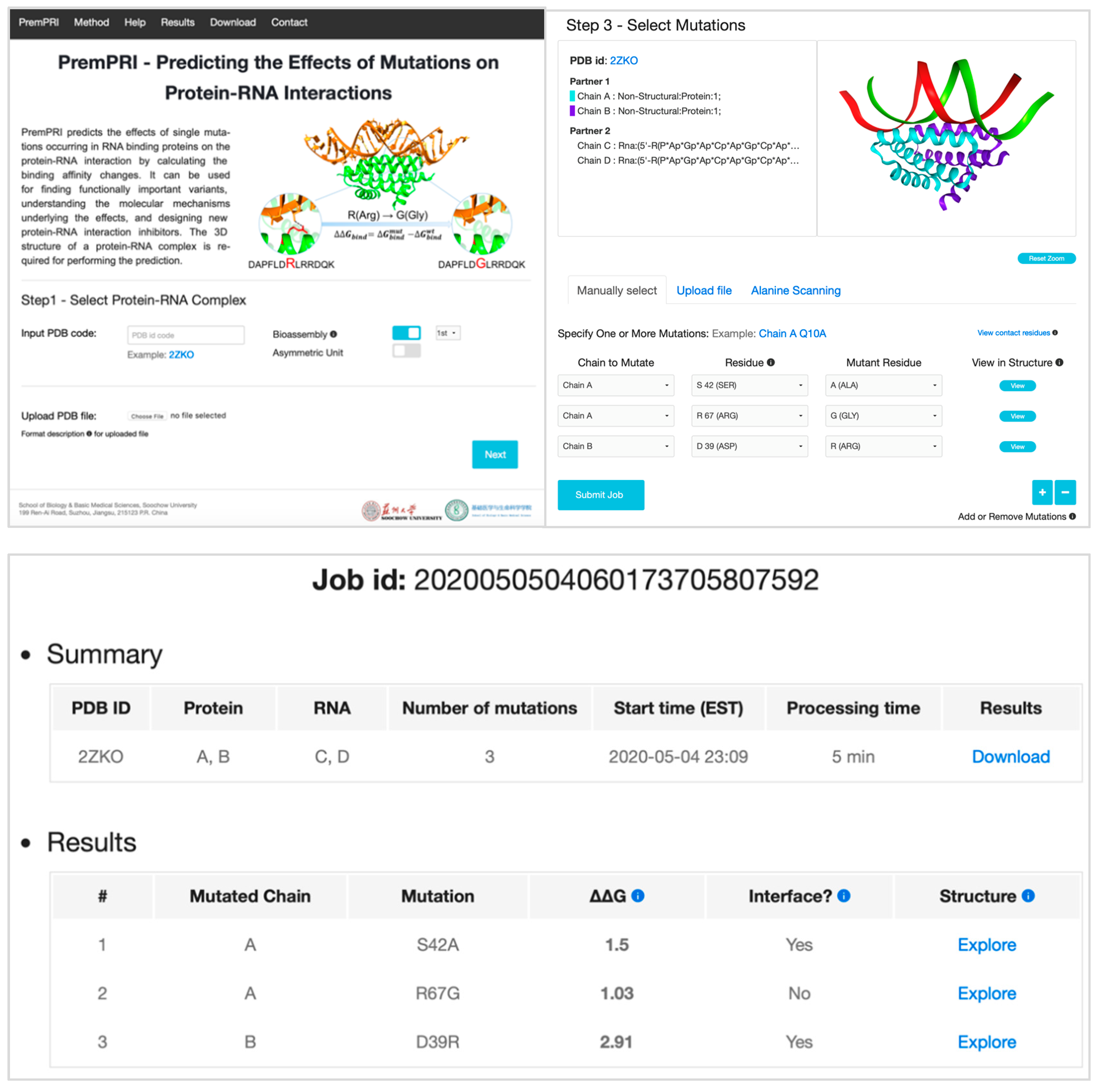 Ijms 21 05560 g003 Ijms 21 05560 g003