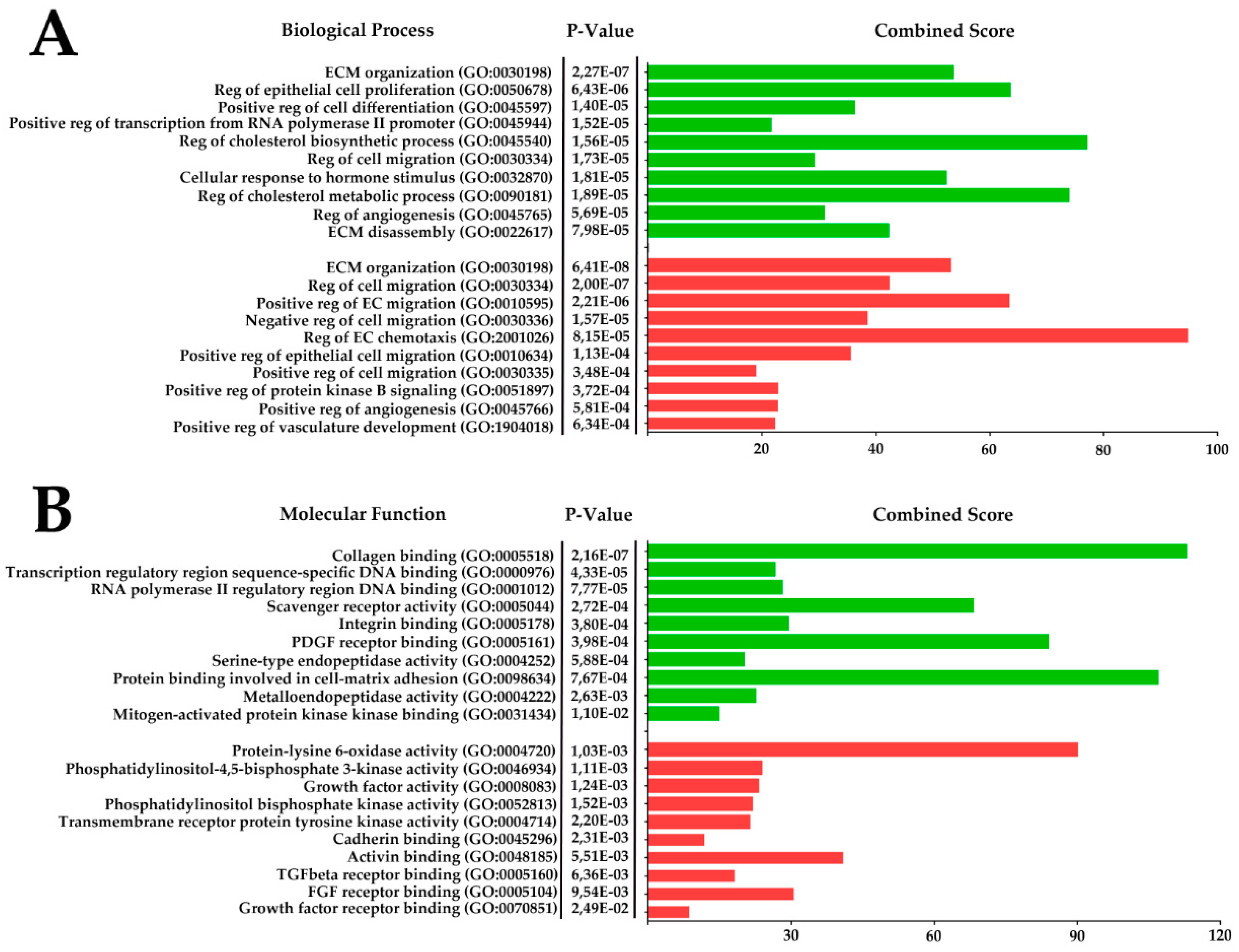 Ijms 21 05567 g007 Ijms 21 05567 g007