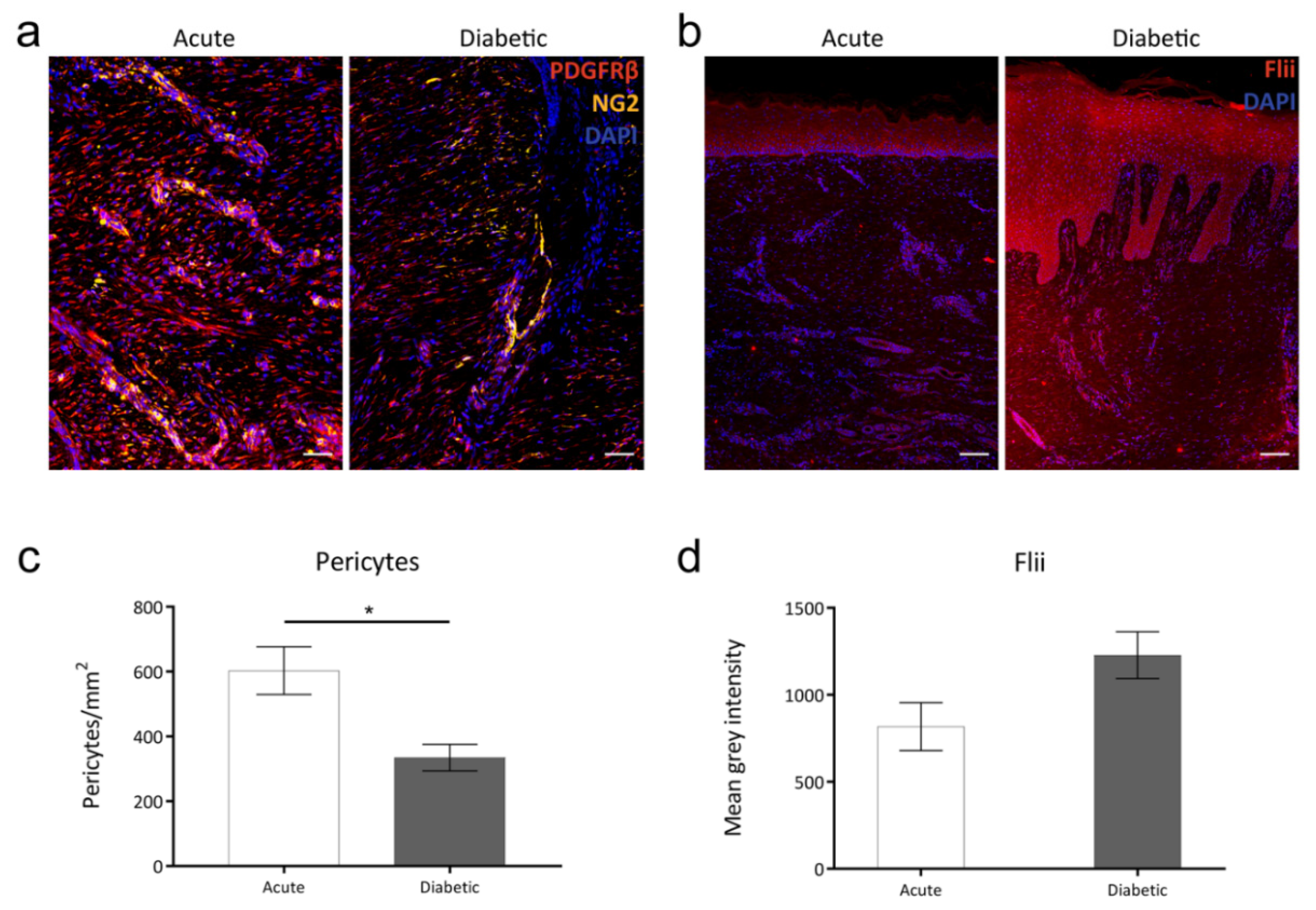 Ijms 21 05599 g001 Ijms 21 05599 g001