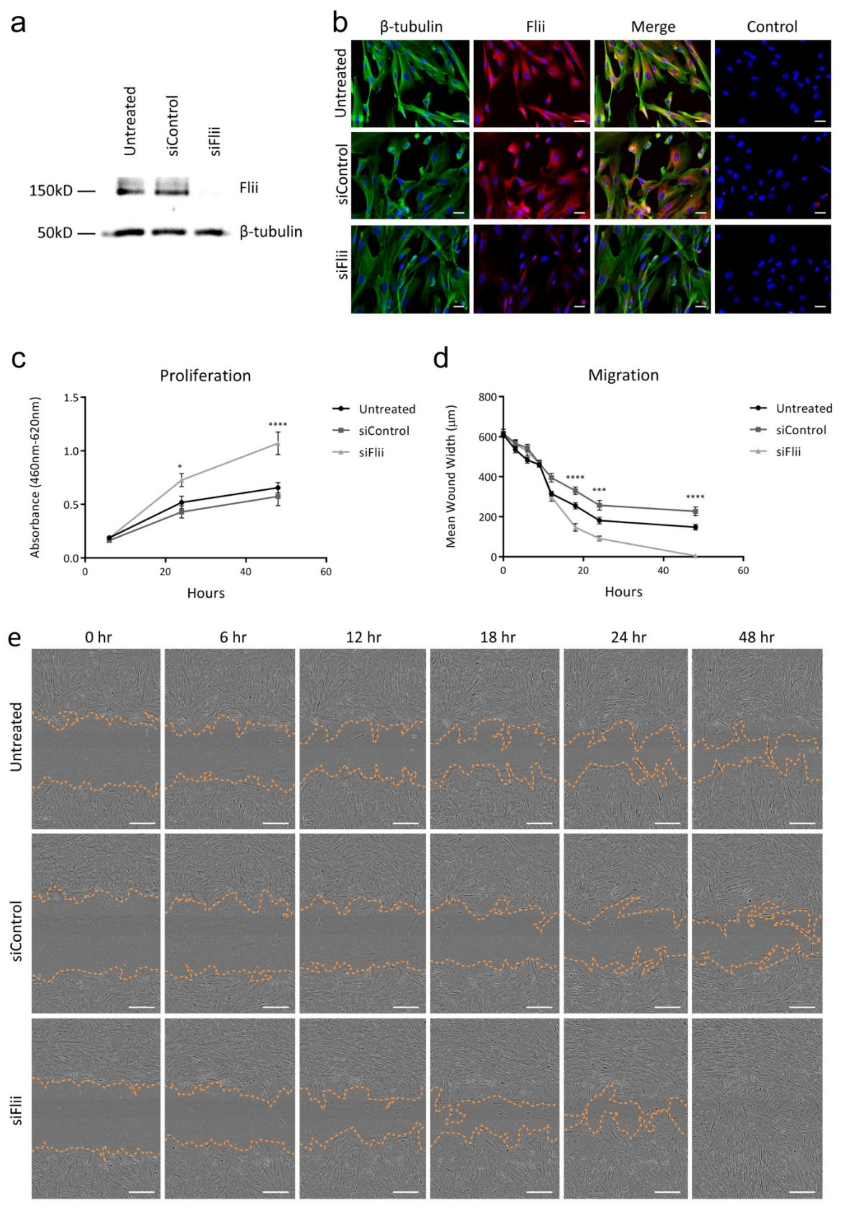 Ijms 21 05599 g002 Ijms 21 05599 g002