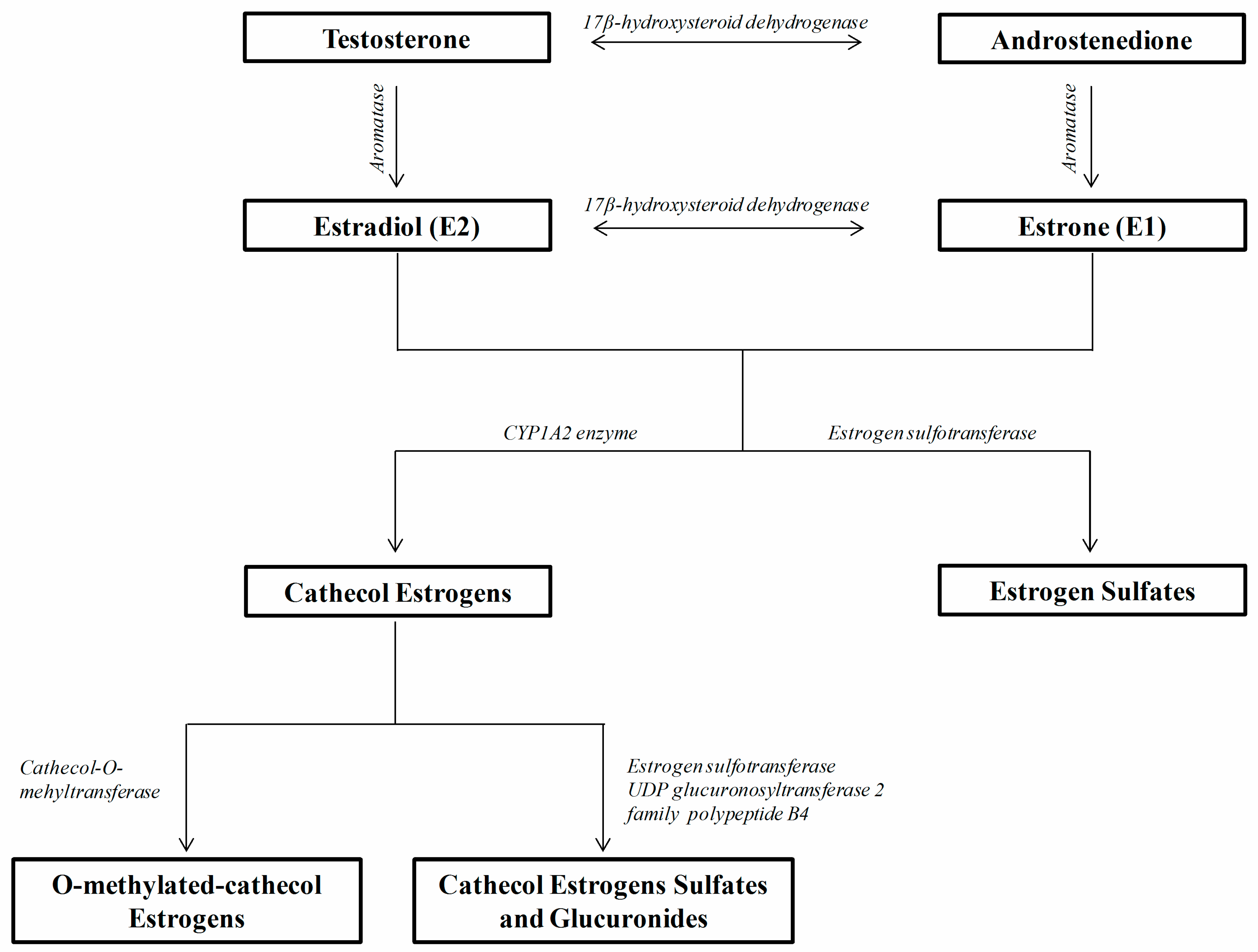 Ijms 21 05625 g001 Ijms 21 05625 g001