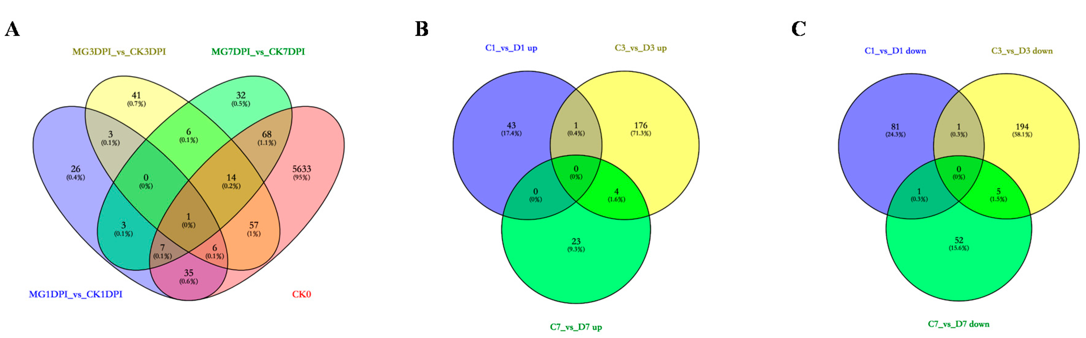 Ijms 21 05640 g001 Ijms 21 05640 g001