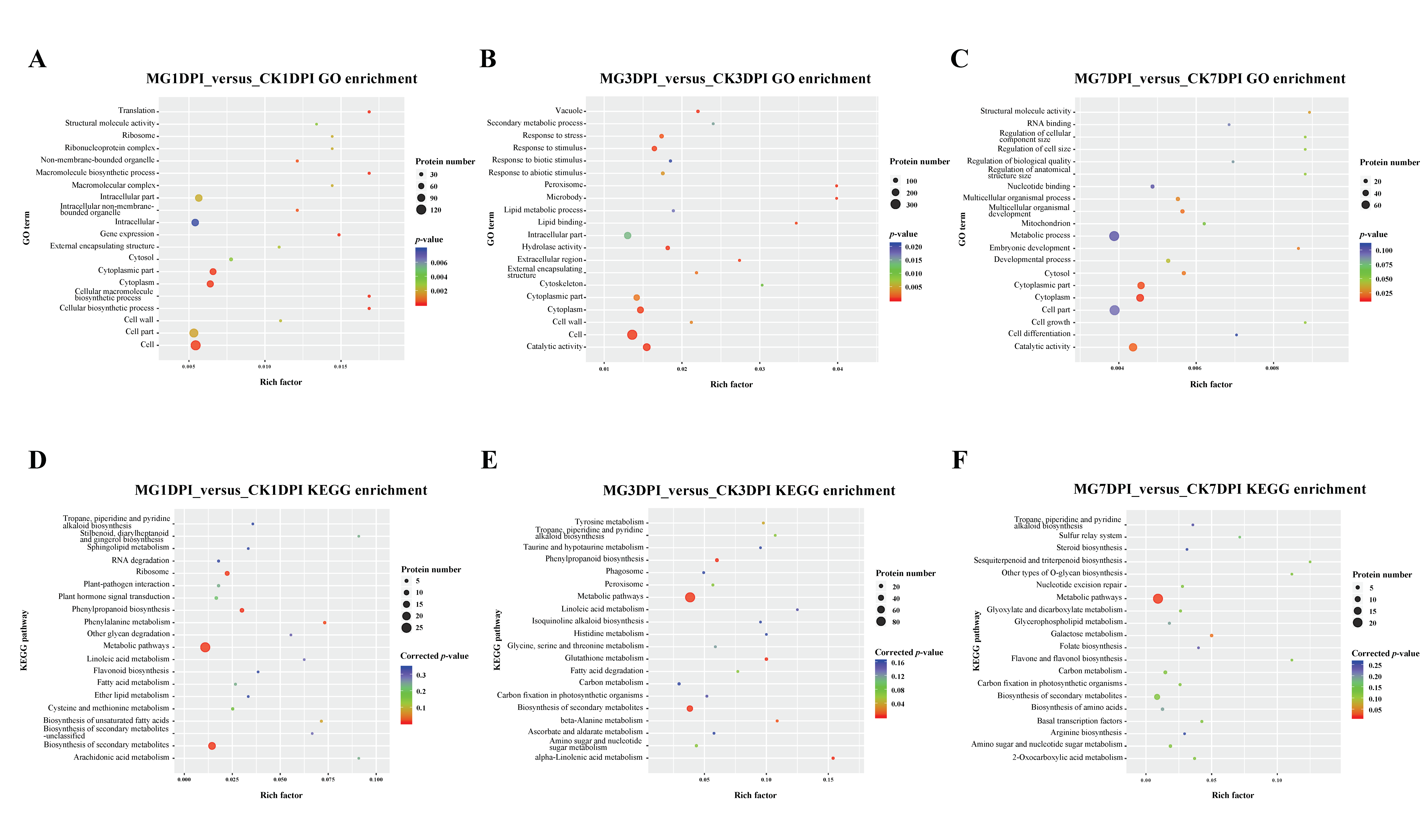 Ijms 21 05640 g002 Ijms 21 05640 g002