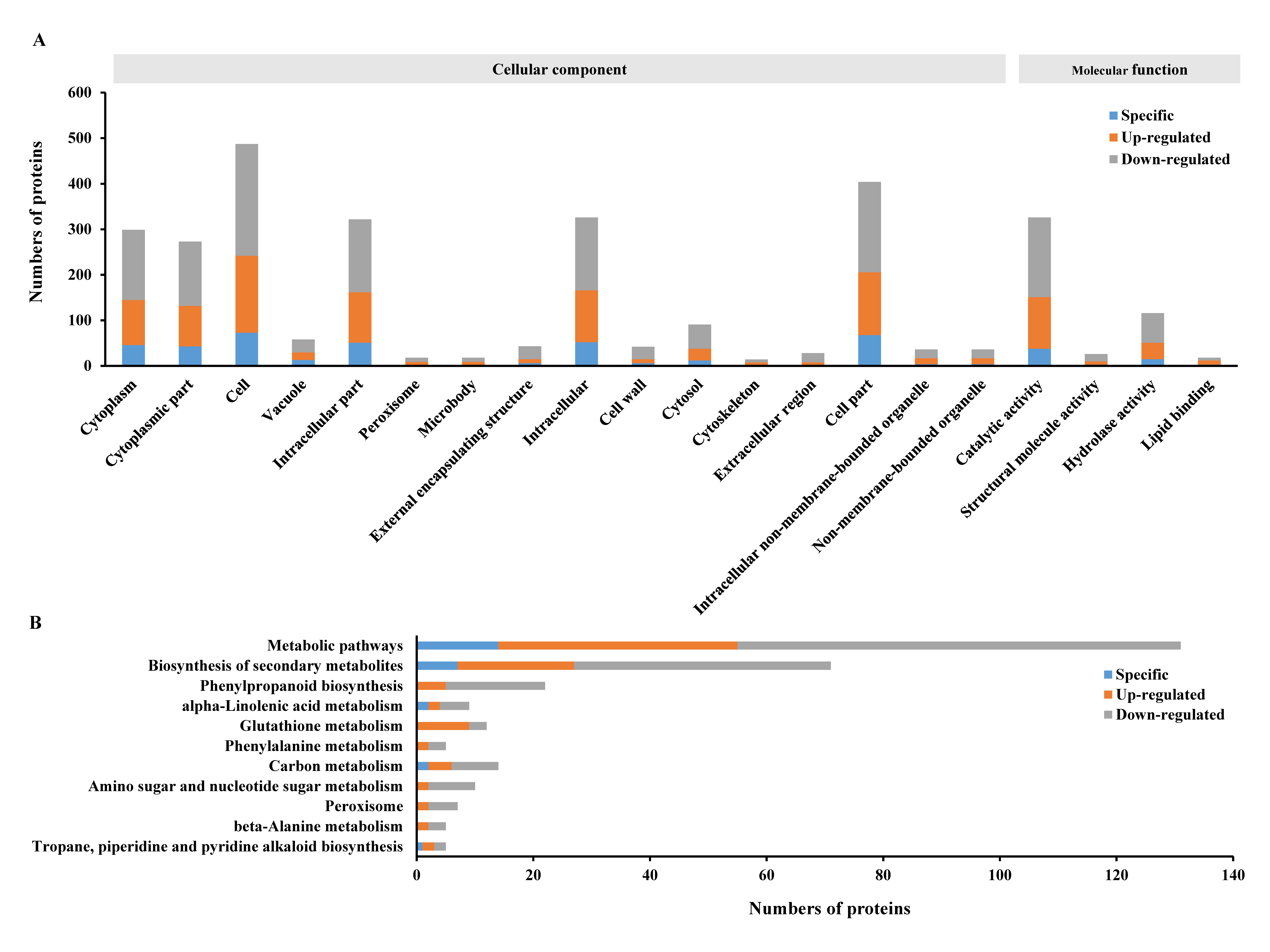 Ijms 21 05640 g003 Ijms 21 05640 g003