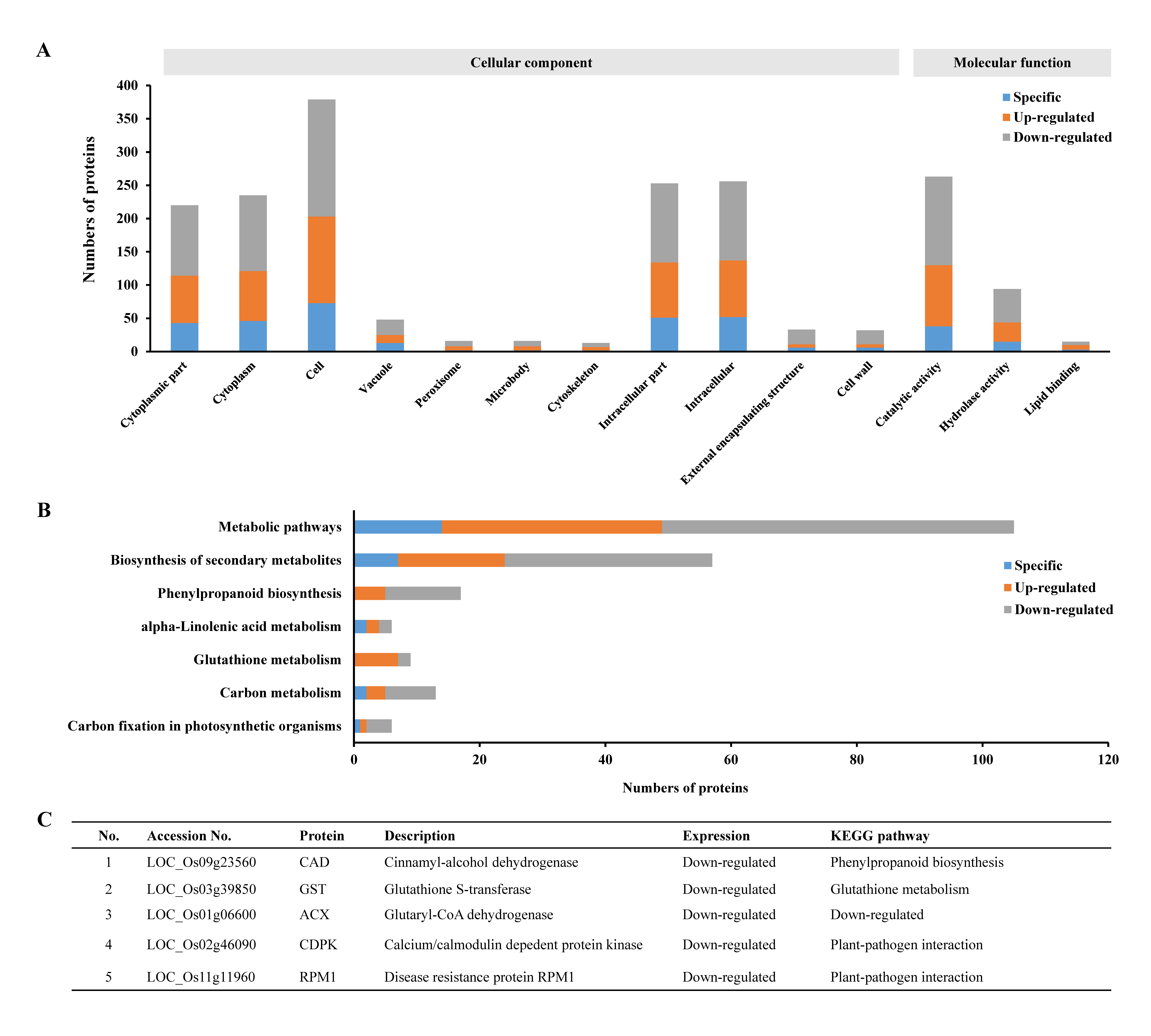 Ijms 21 05640 g005 Ijms 21 05640 g005