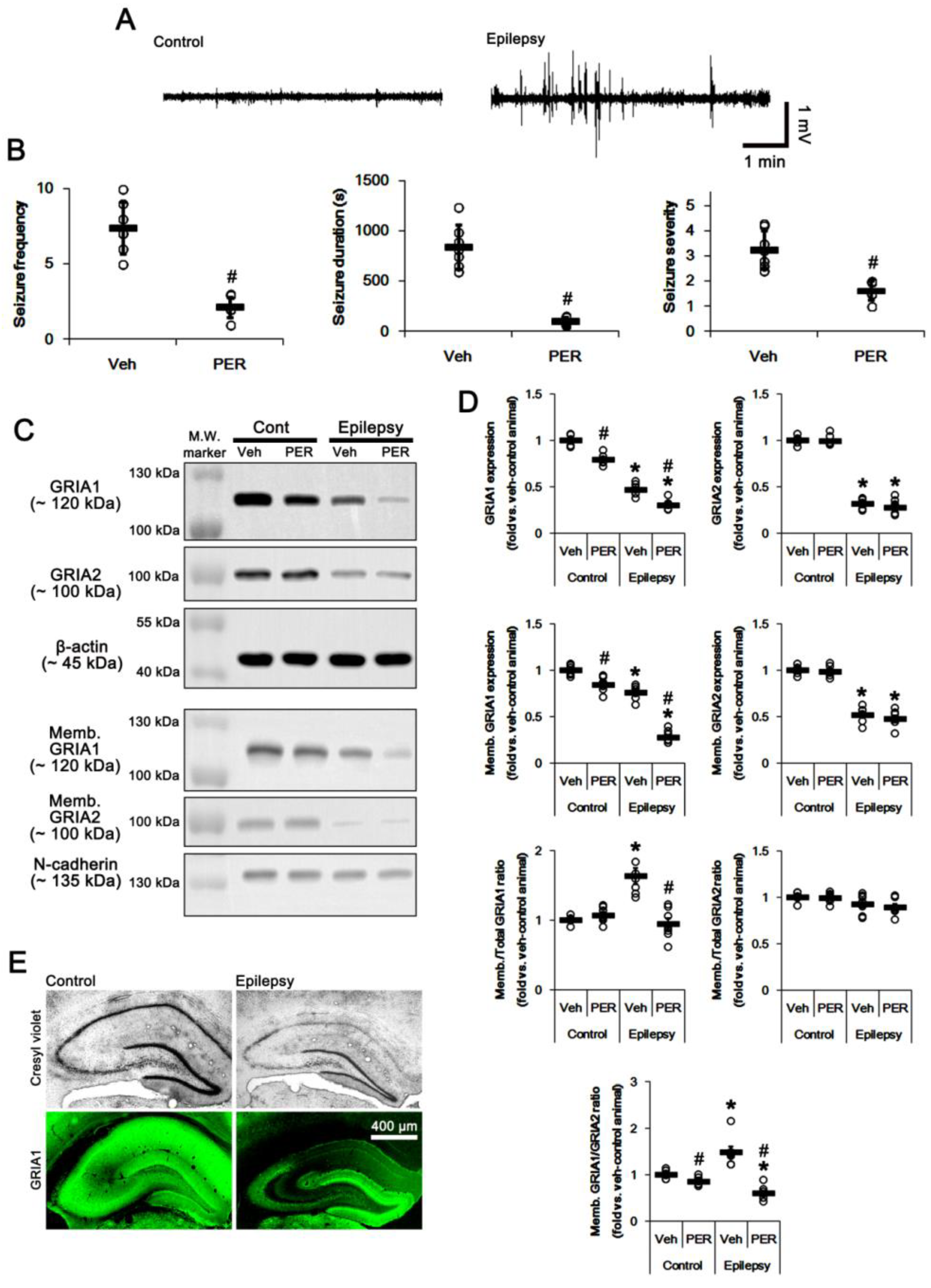 Ijms 21 05643 g001 Ijms 21 05643 g001
