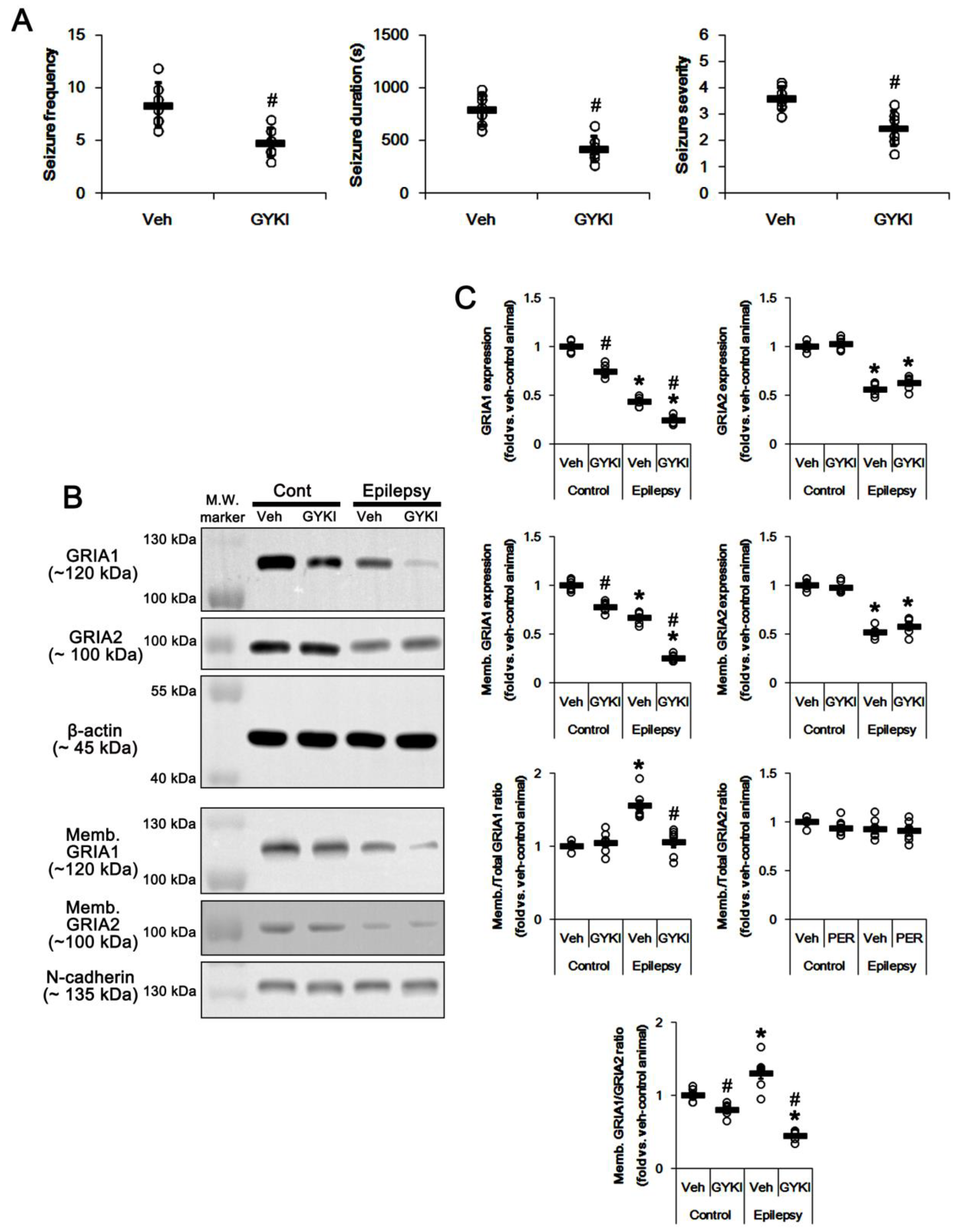 Ijms 21 05643 g002 Ijms 21 05643 g002