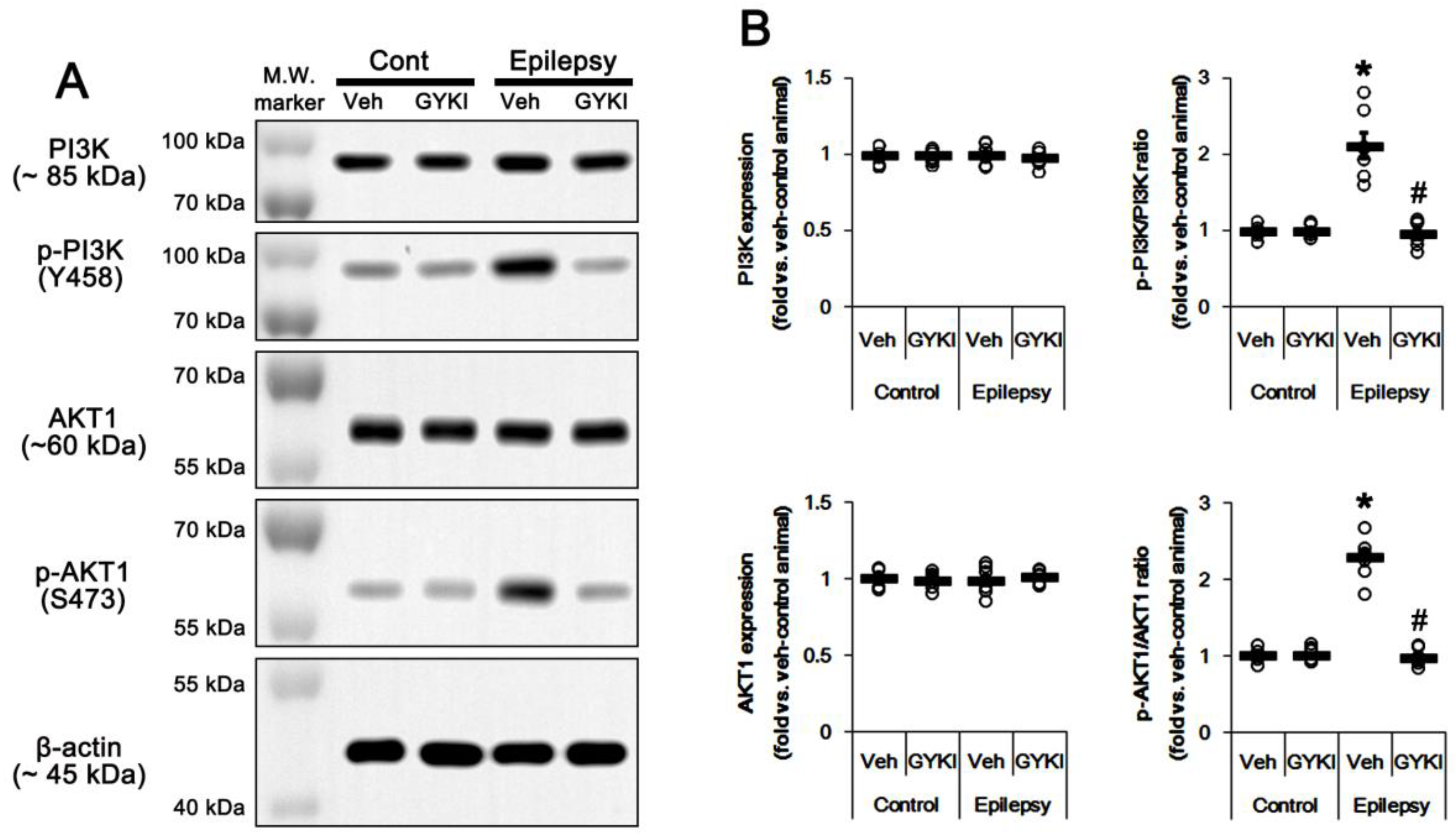 Ijms 21 05643 g004 Ijms 21 05643 g004