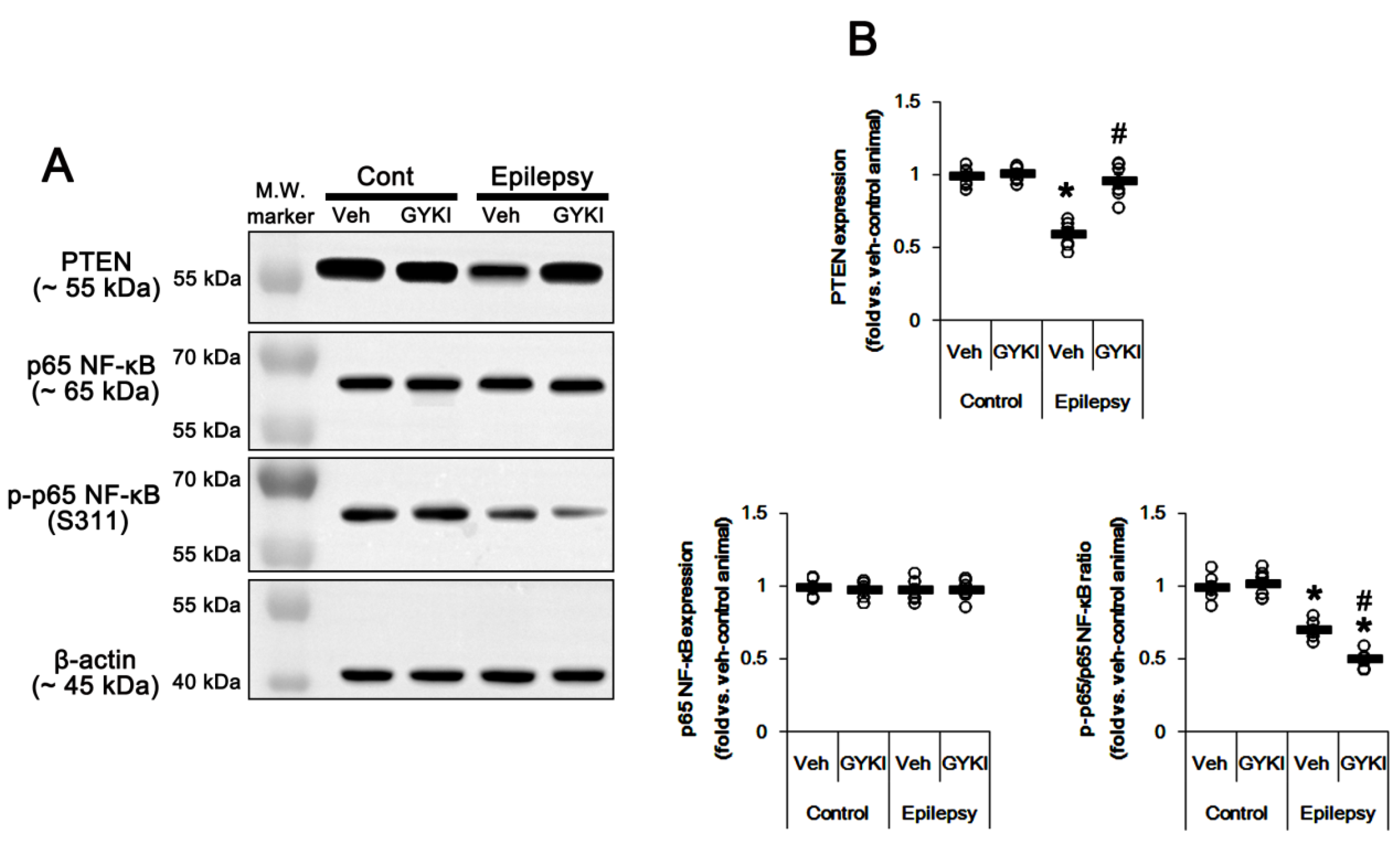 Ijms 21 05643 g006 Ijms 21 05643 g006