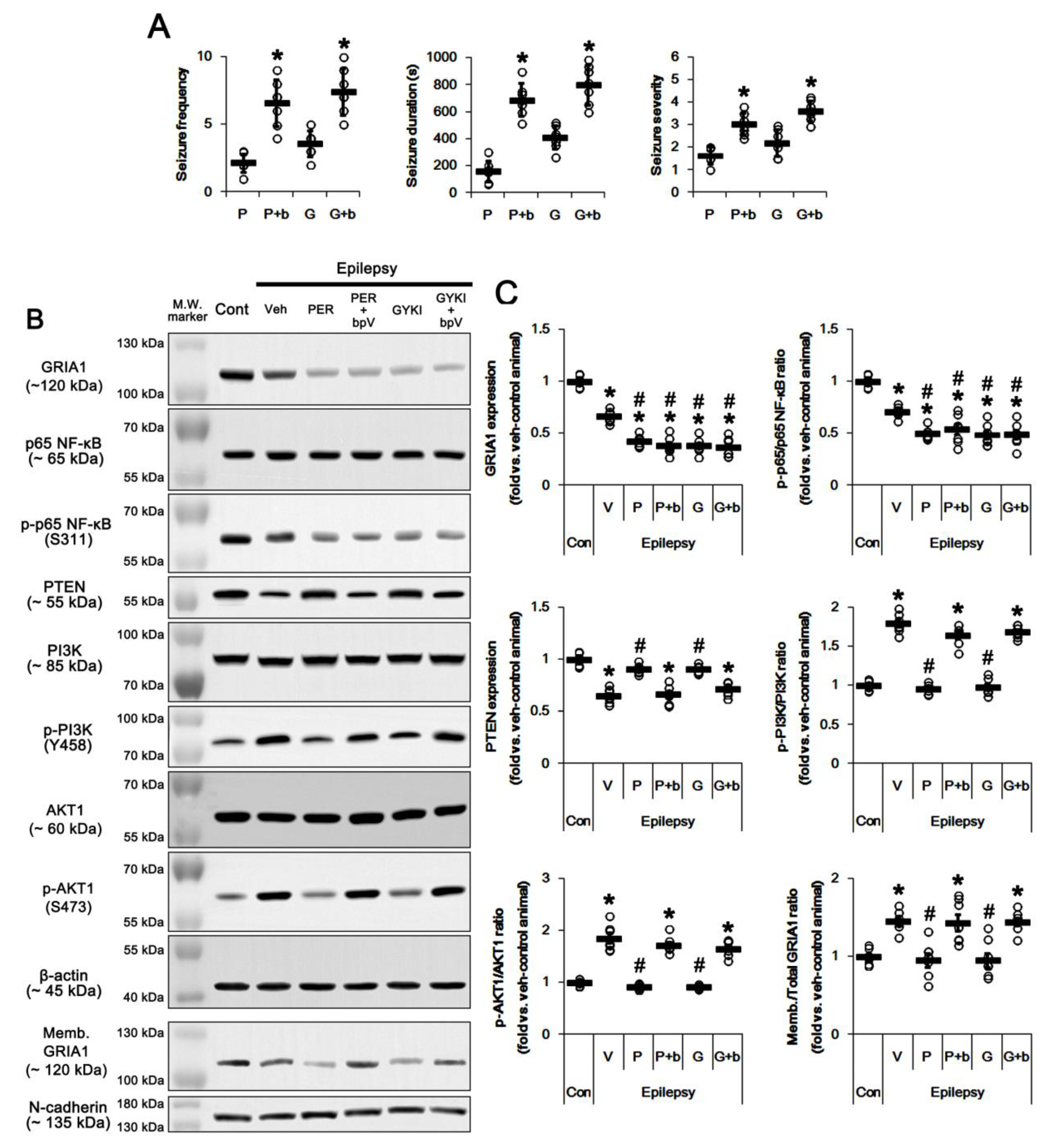 Ijms 21 05643 g007 Ijms 21 05643 g007