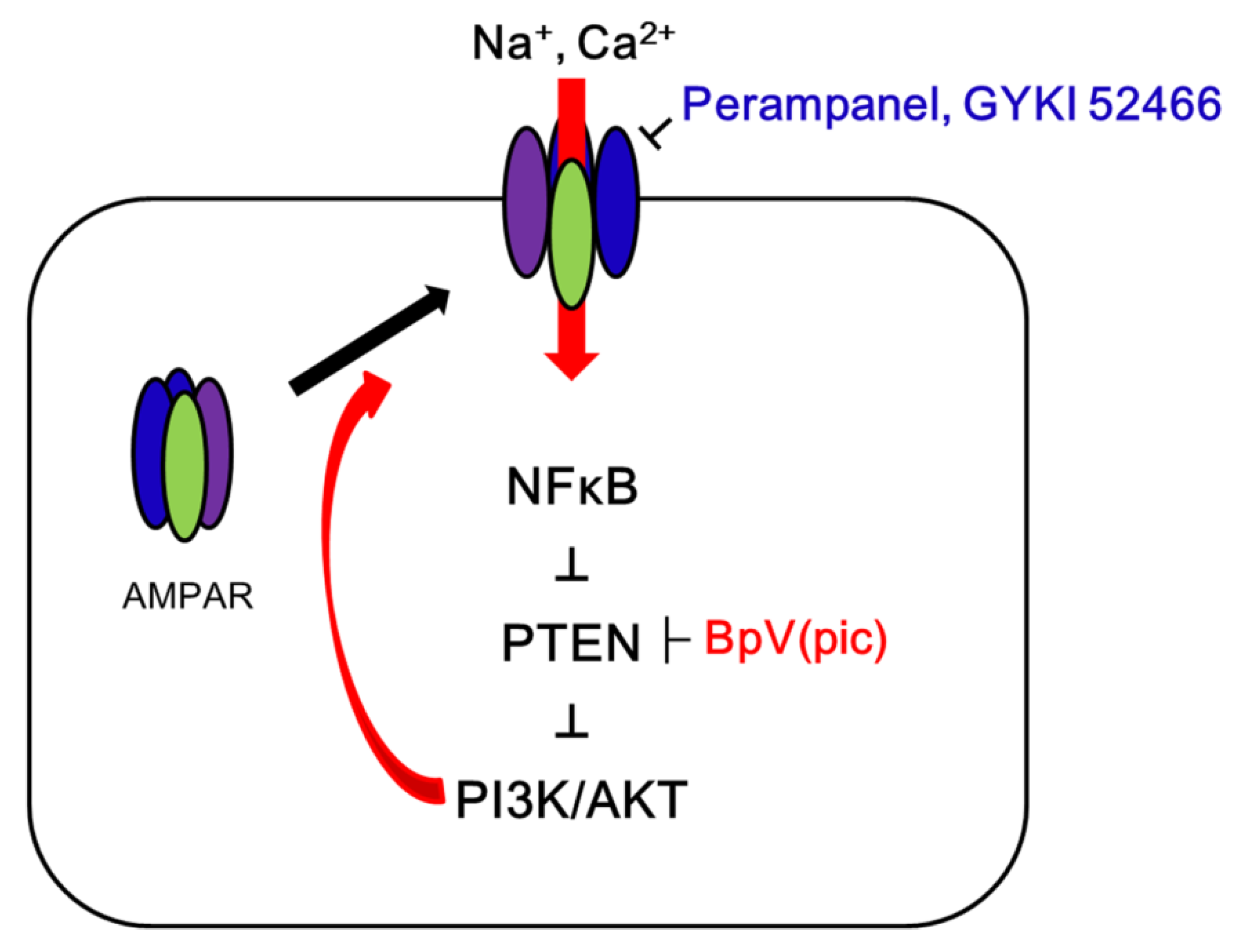 Ijms 21 05643 g008 Ijms 21 05643 g008