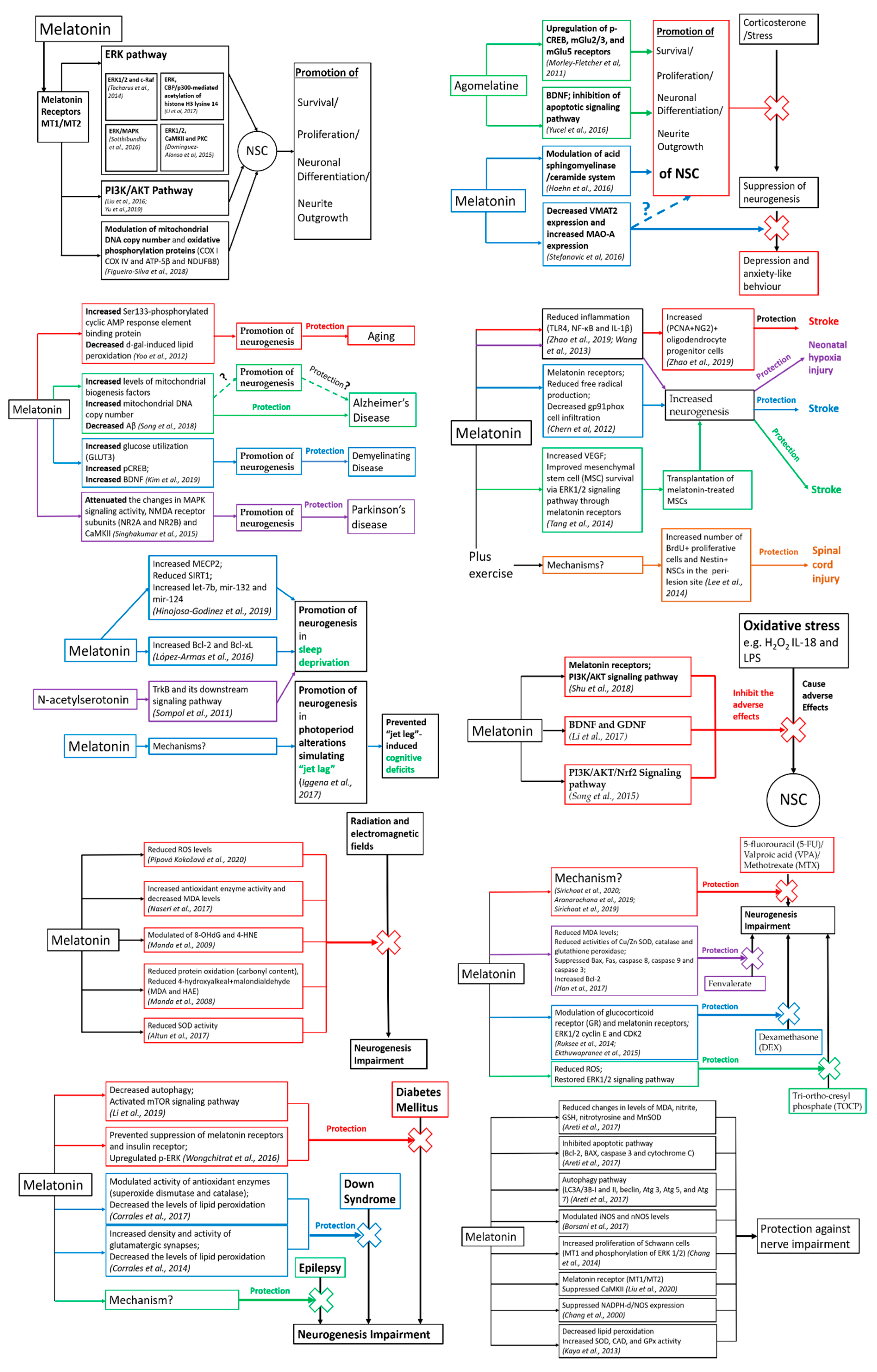 Ijms 21 05645 g001 Ijms 21 05645 g001