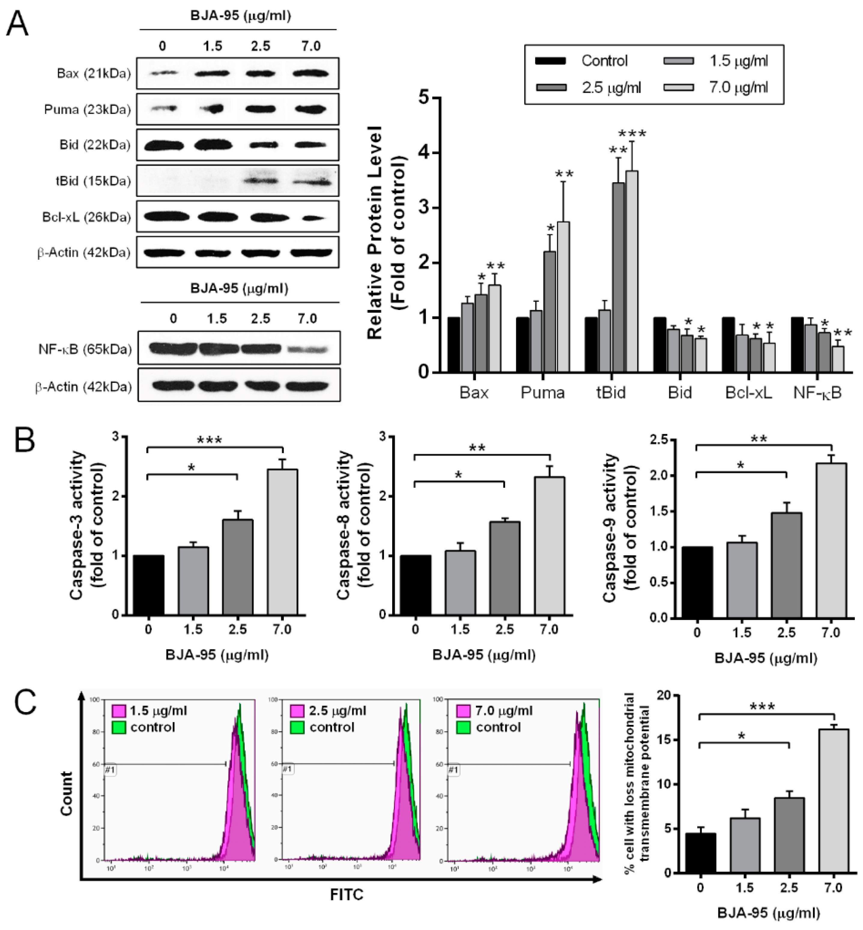 Ijms 21 05669 g003 Ijms 21 05669 g003