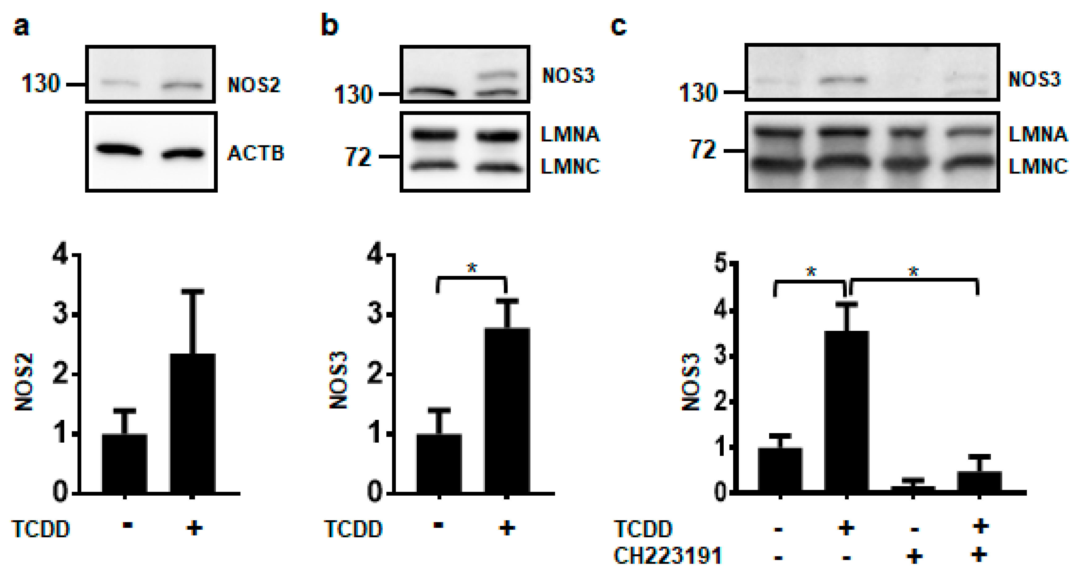 Ijms 21 05680 g002 Ijms 21 05680 g002